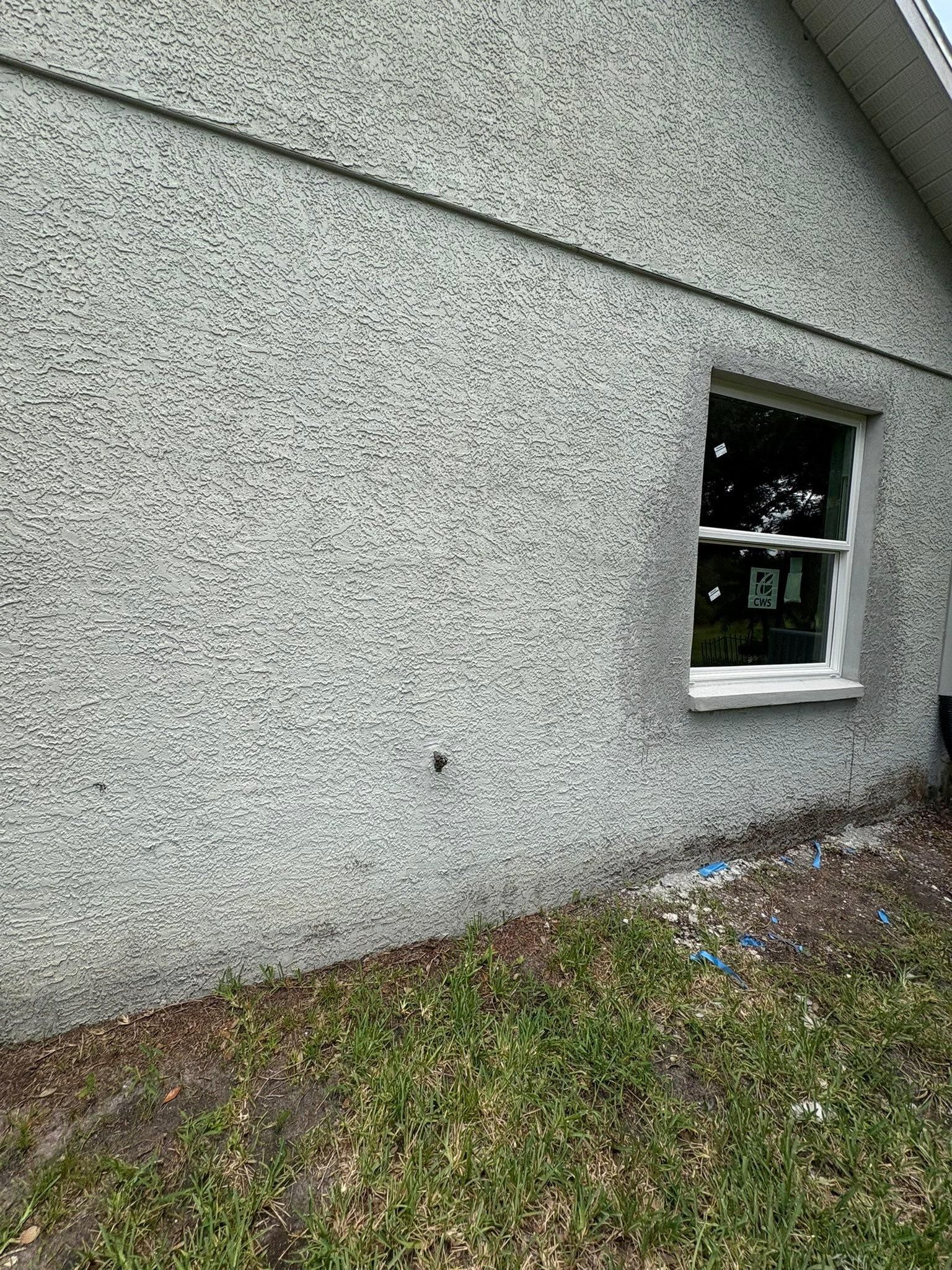  for Escorpio Painting in Tampa, FL