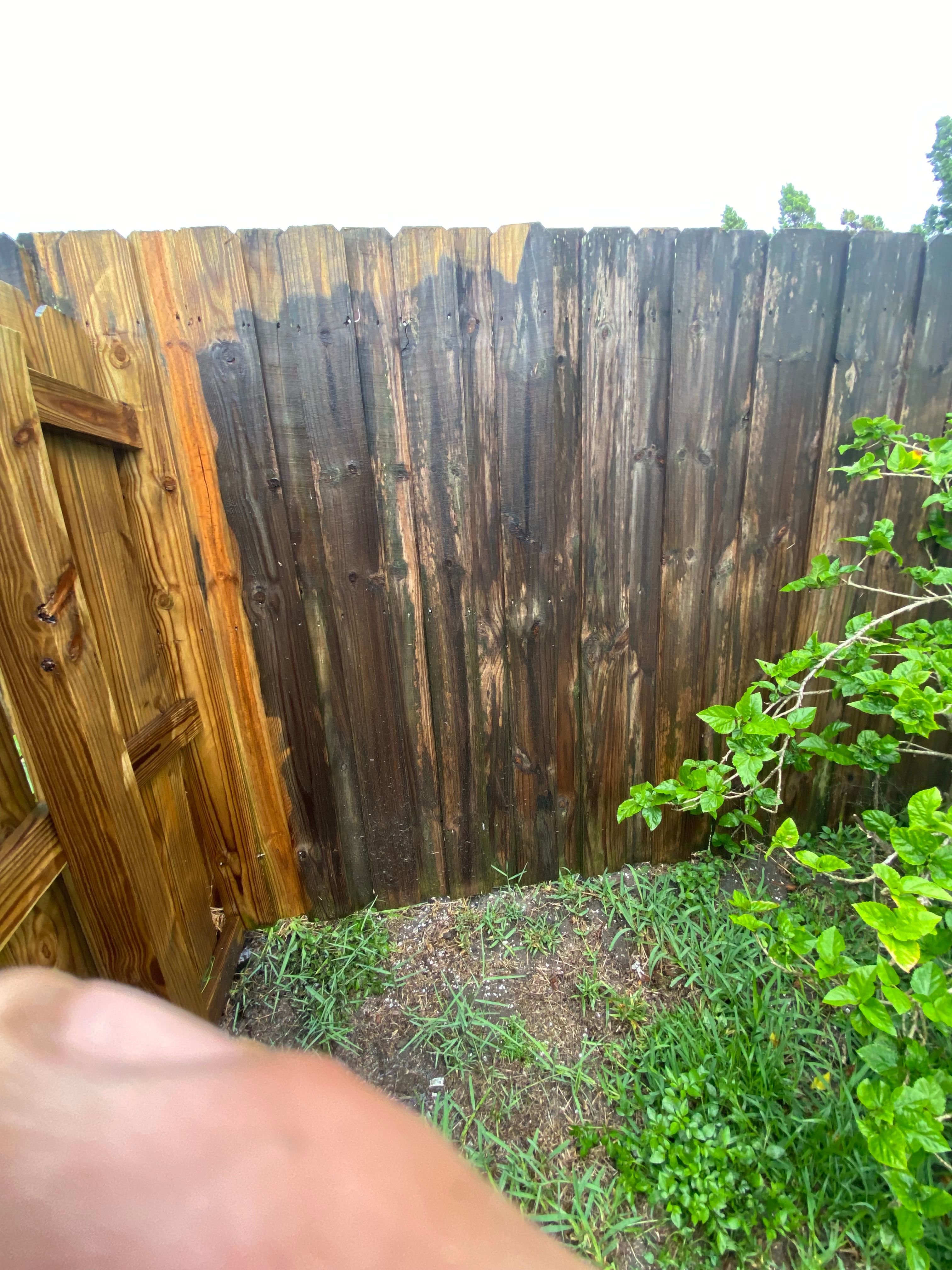 All Photos for Paps Painting in Brevard county, FL