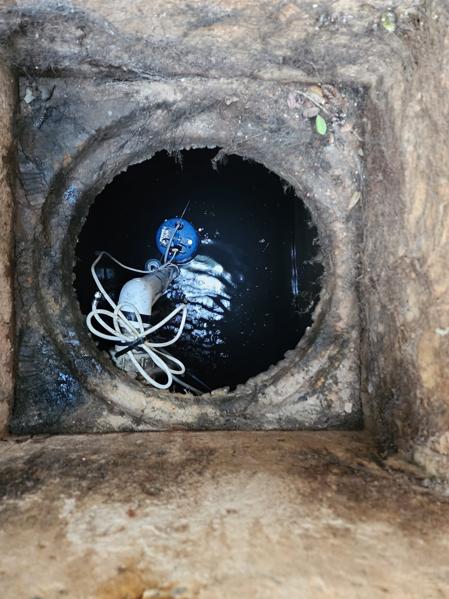 Septic for Wagener Services LLC in Columbia, SC