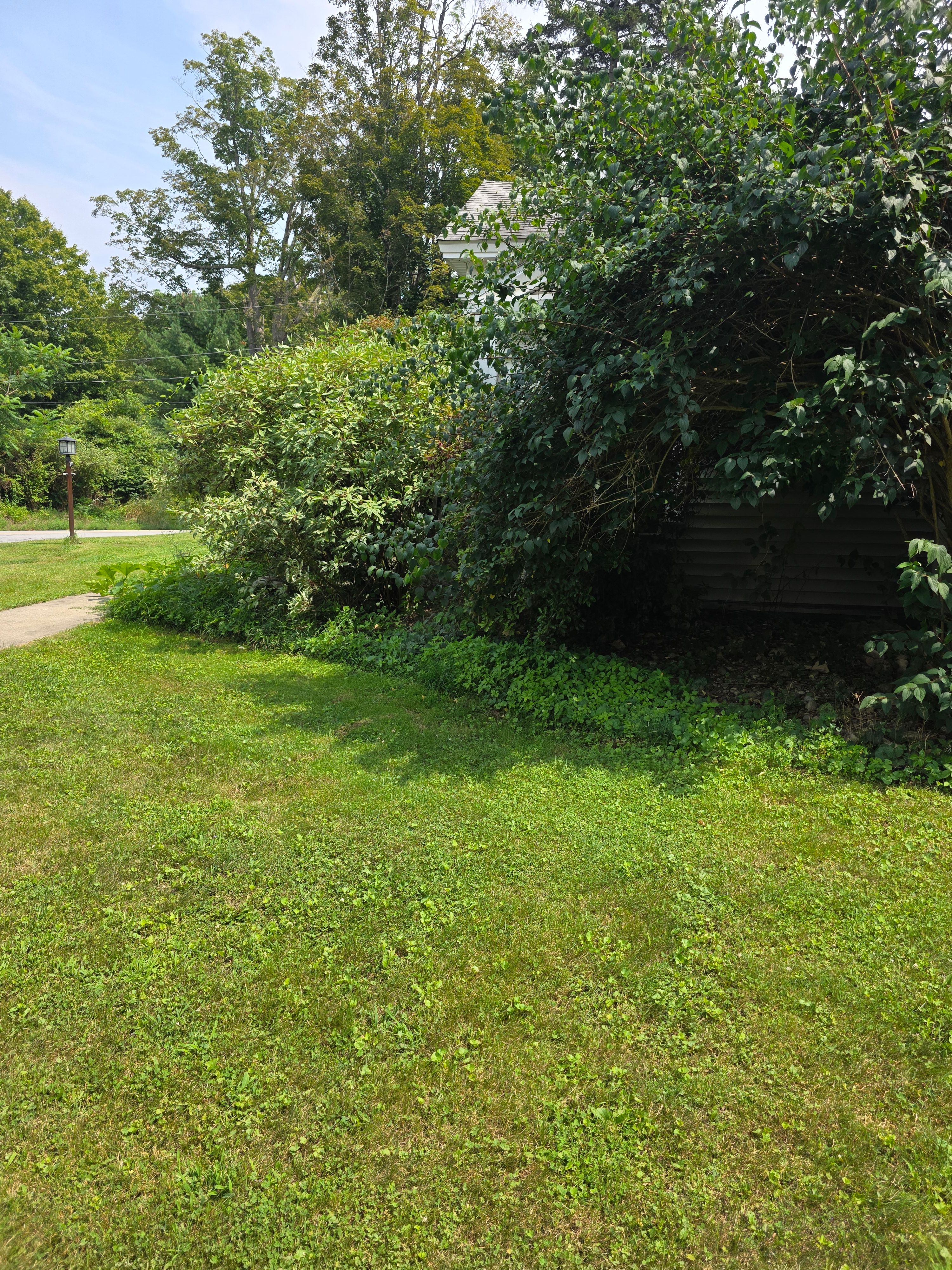  for Sweet Scapes in Ballston Spa, NY