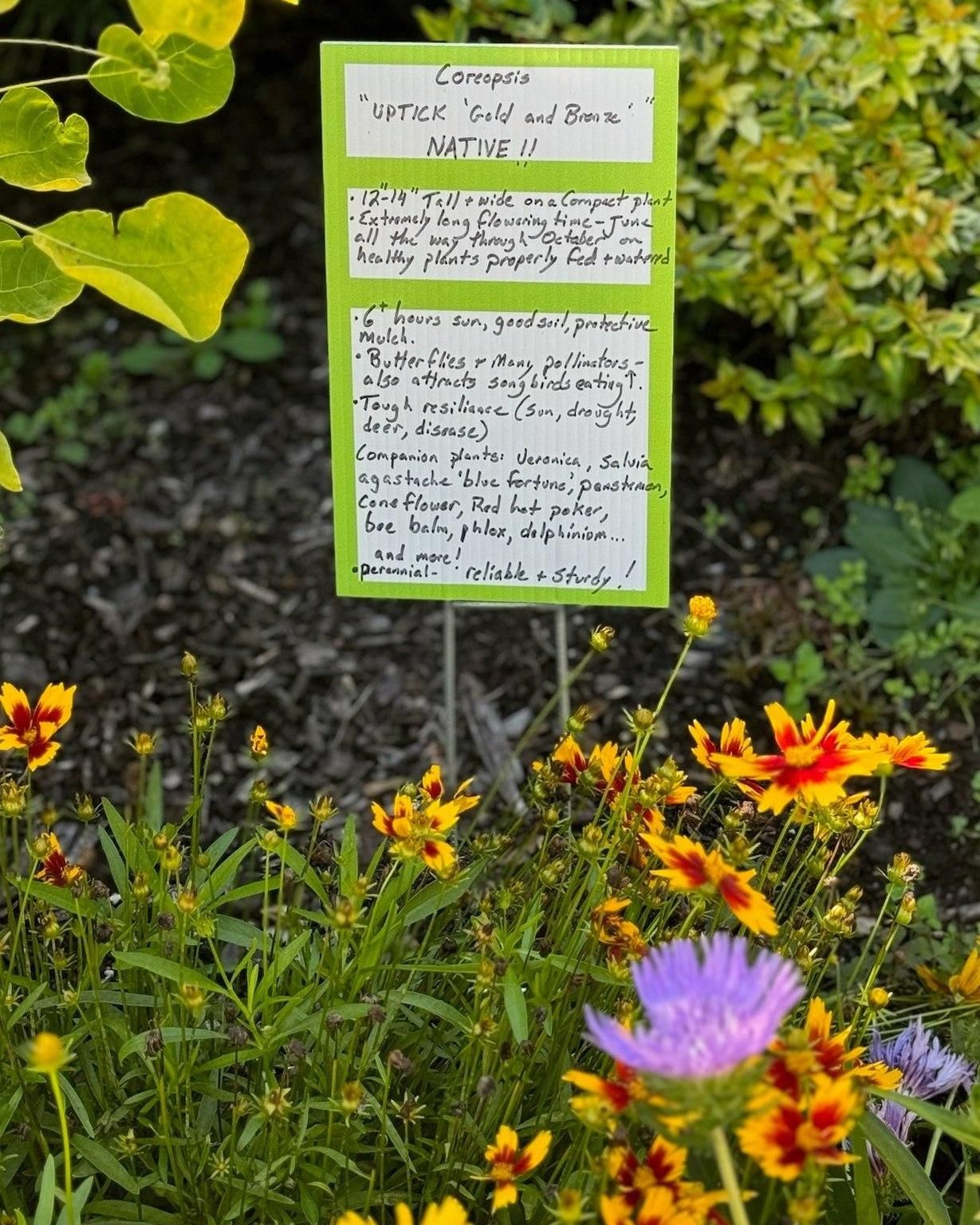  for Ace Landscaping in Trumbull, CT