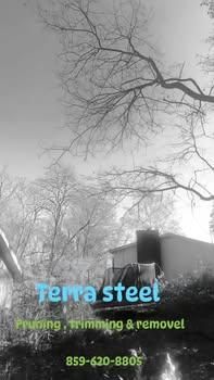  for Terra Steel Creations in Independence, KY