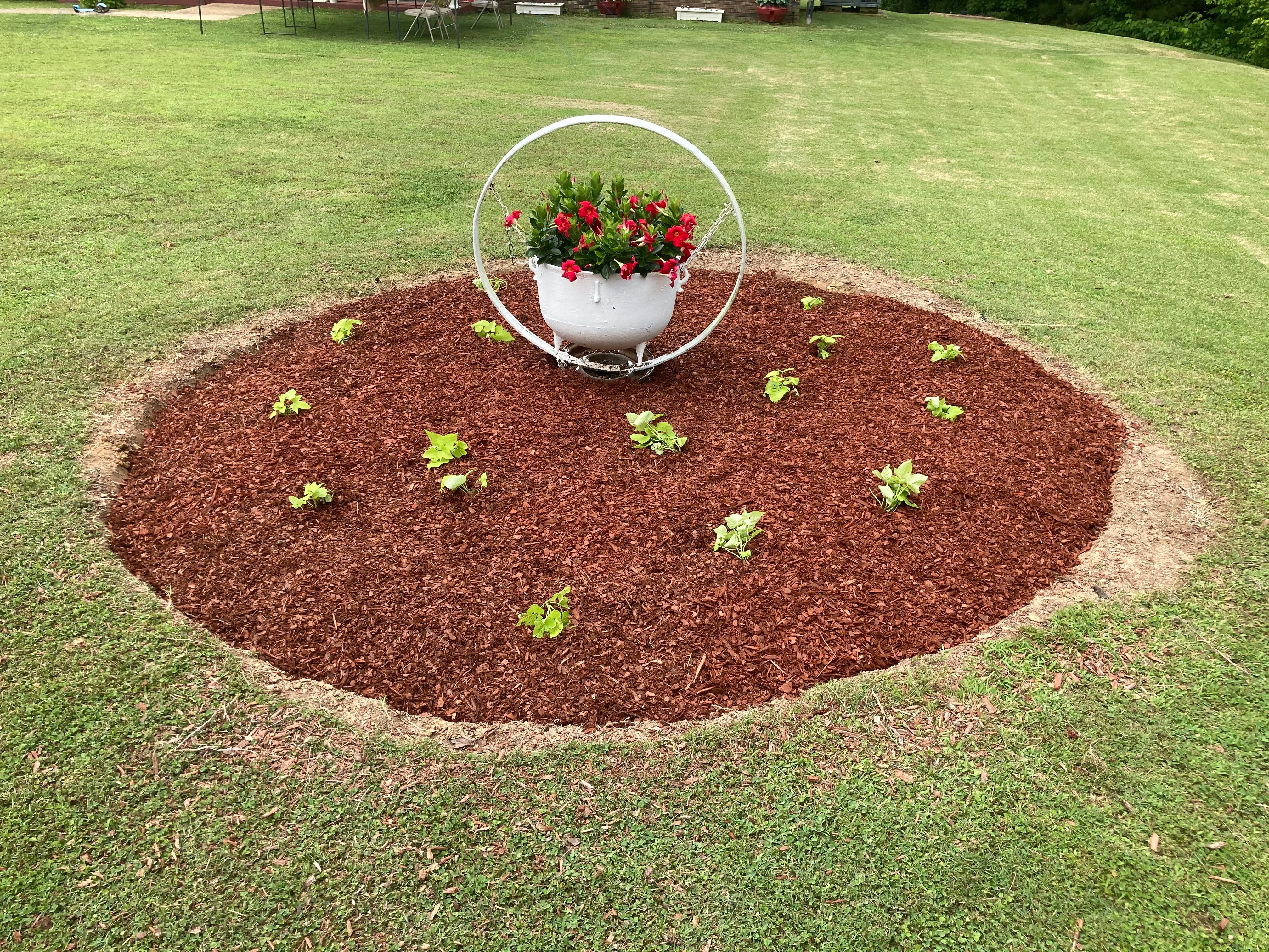  for Grass Management in Nashville, TN