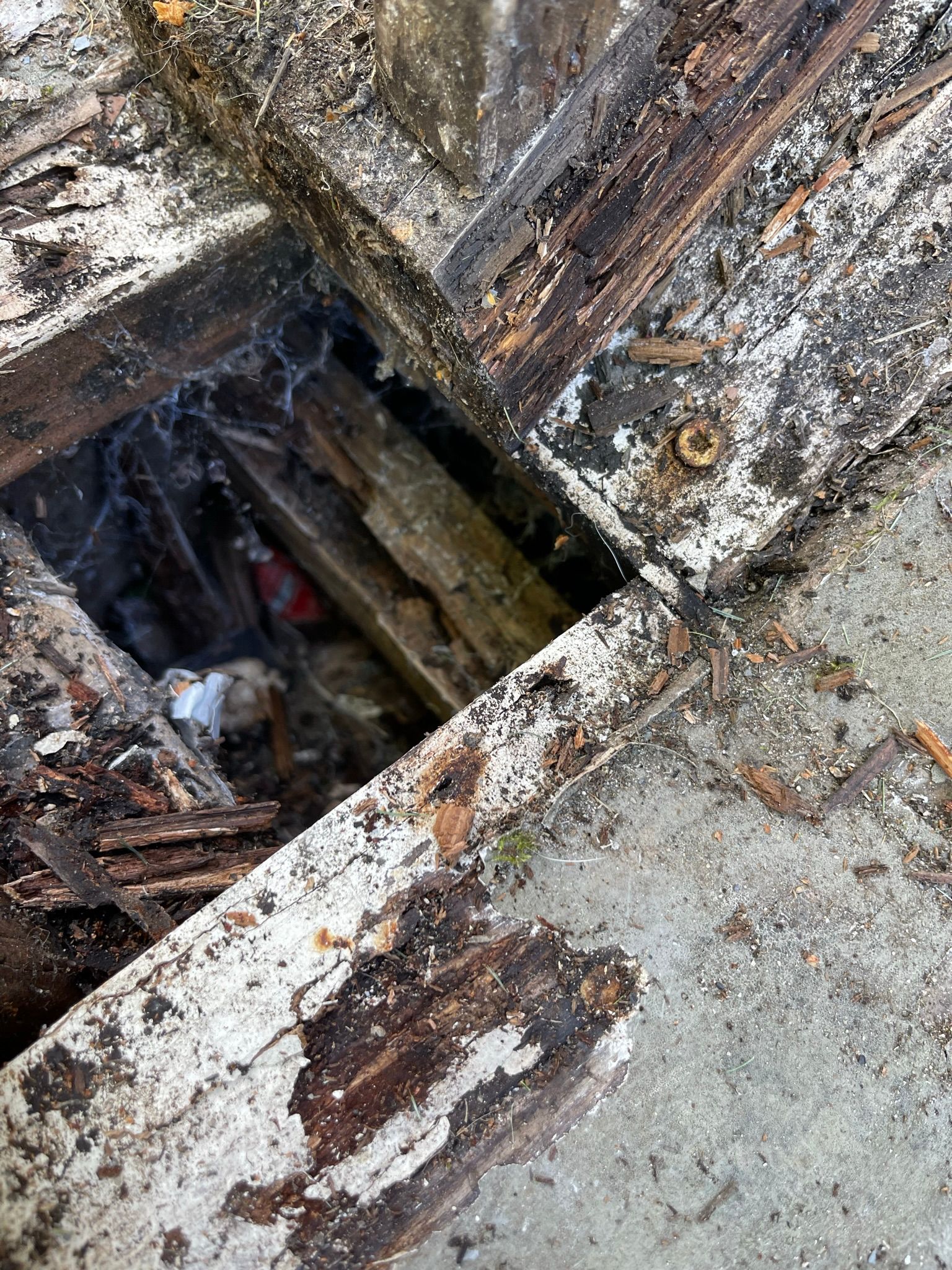  for Tony's Remodeling & Painting in Renton, WA