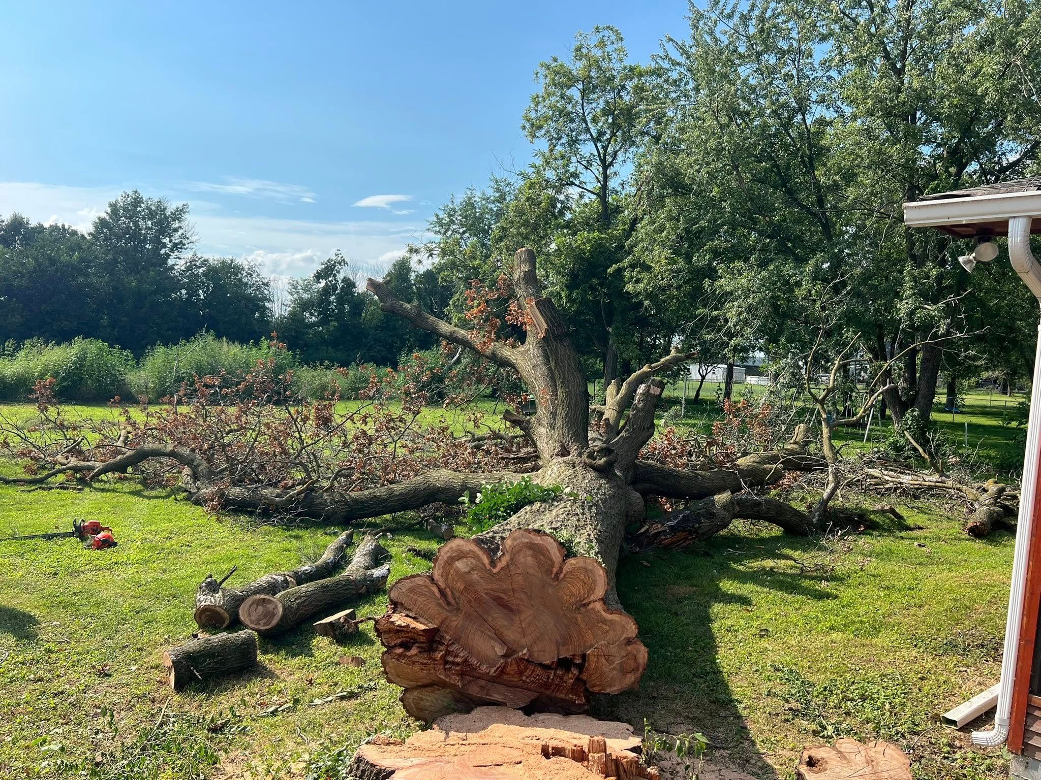 Tree Removal for Baker Professional Services LLC in Shelbina, MO