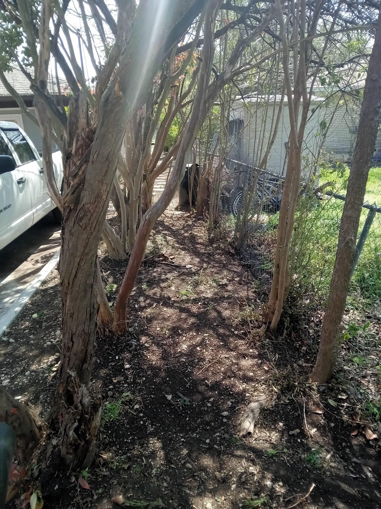 Mowing for Emergency Yard Care LLC in Waxahachie, TX