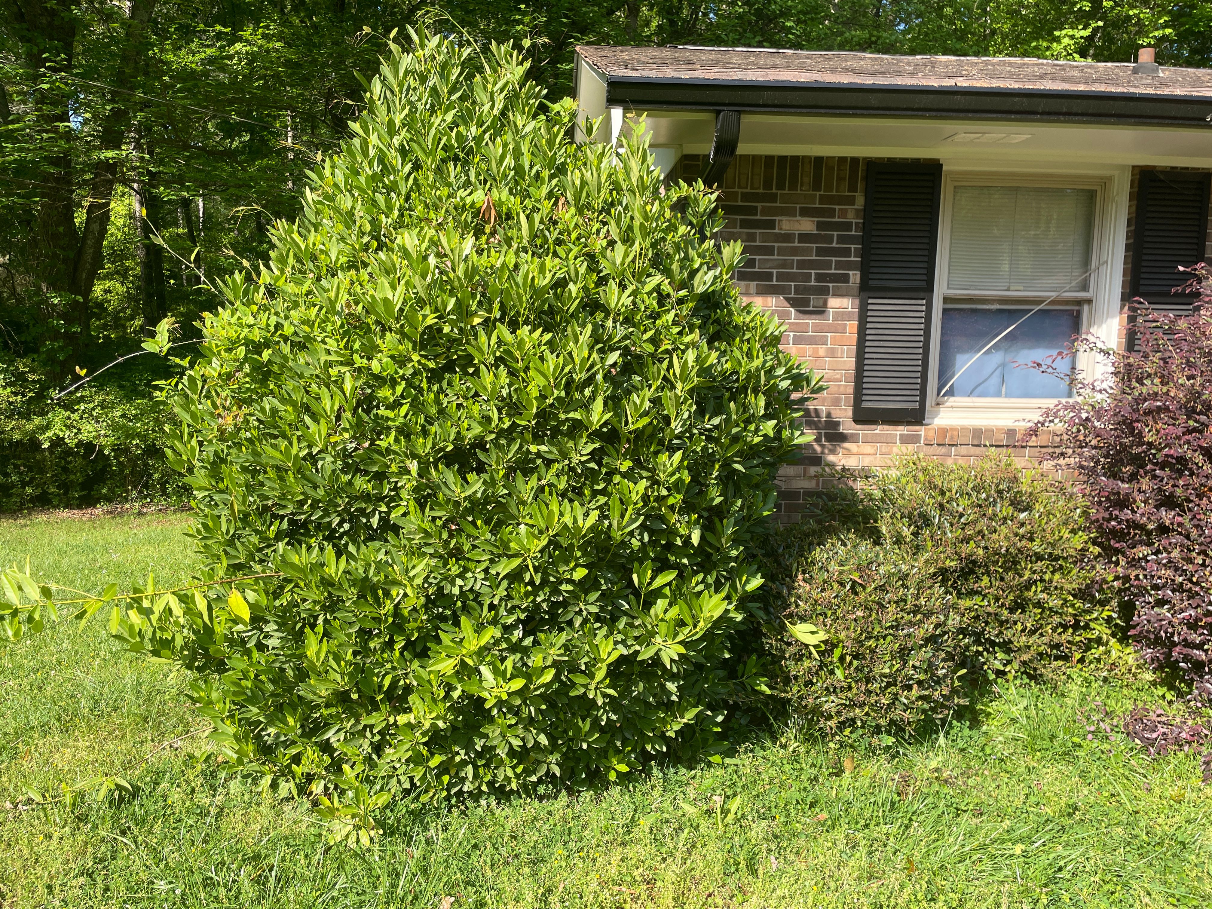  for Clark's Cuts Lawn Care in Lilburn, GA
