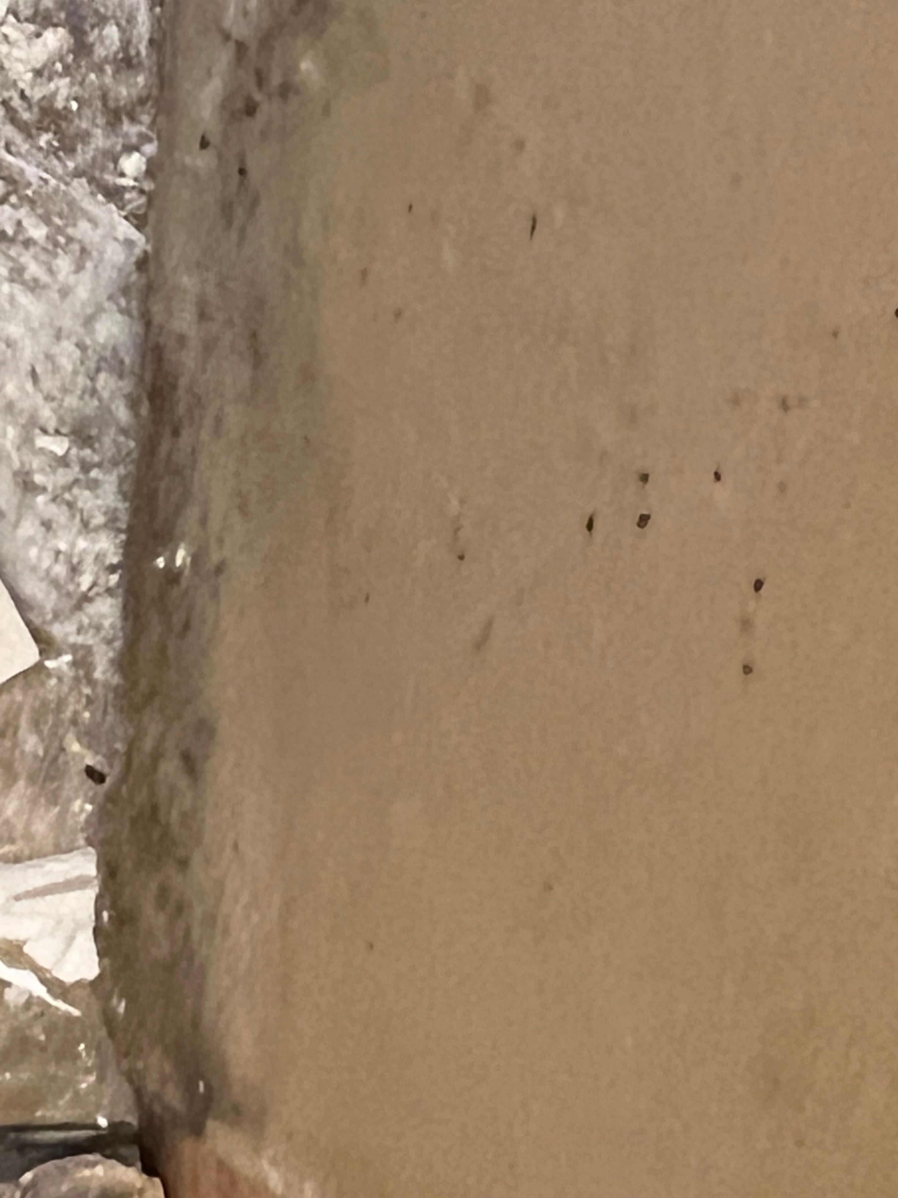  for N&D Restoration Services When Disaster Strikes, We Come In in Cape Coral,  FL