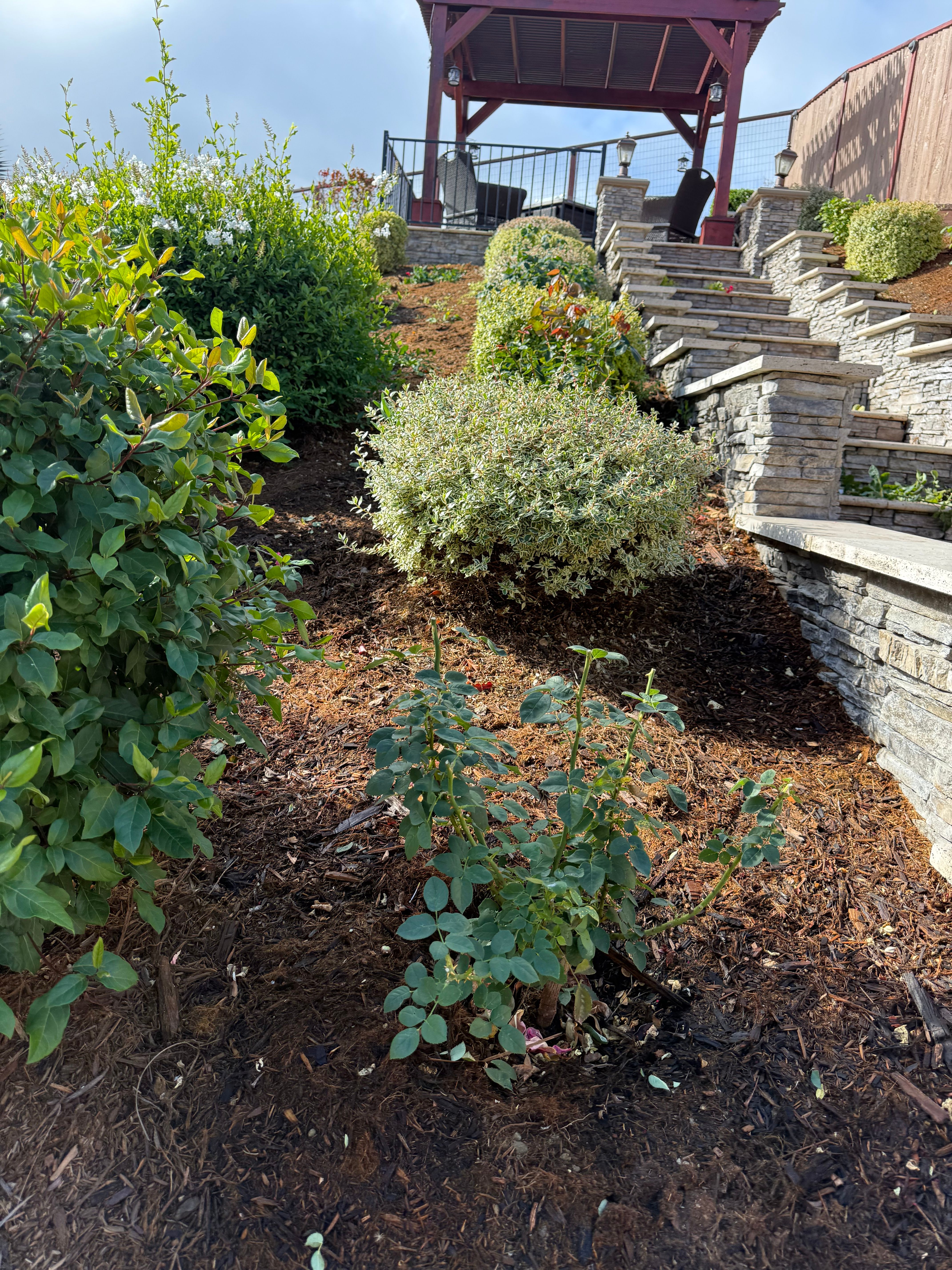  for CBA Landscaping in Hayward, CA