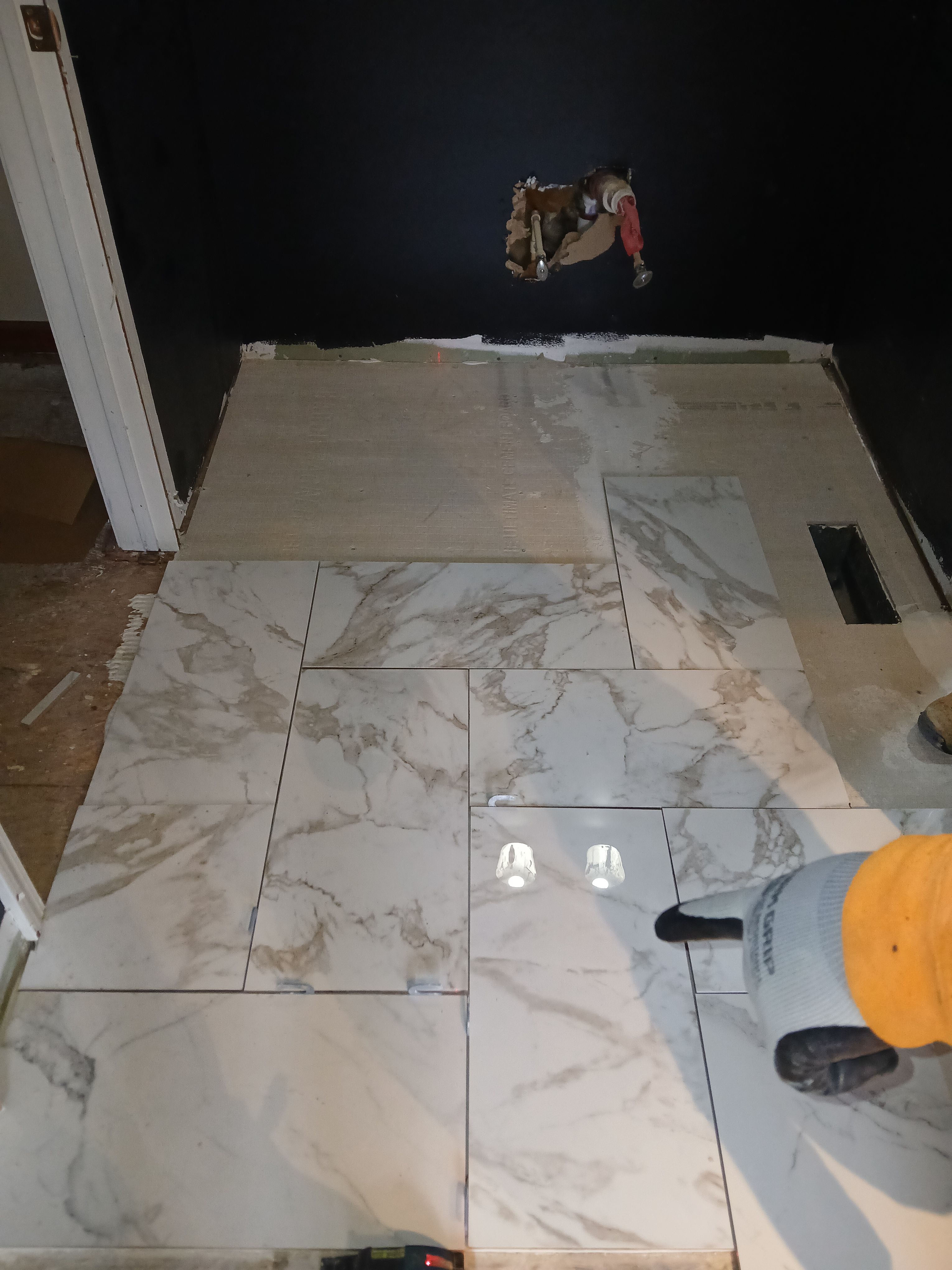  for Dead Tree General Contracting in Carbondale, Illinois