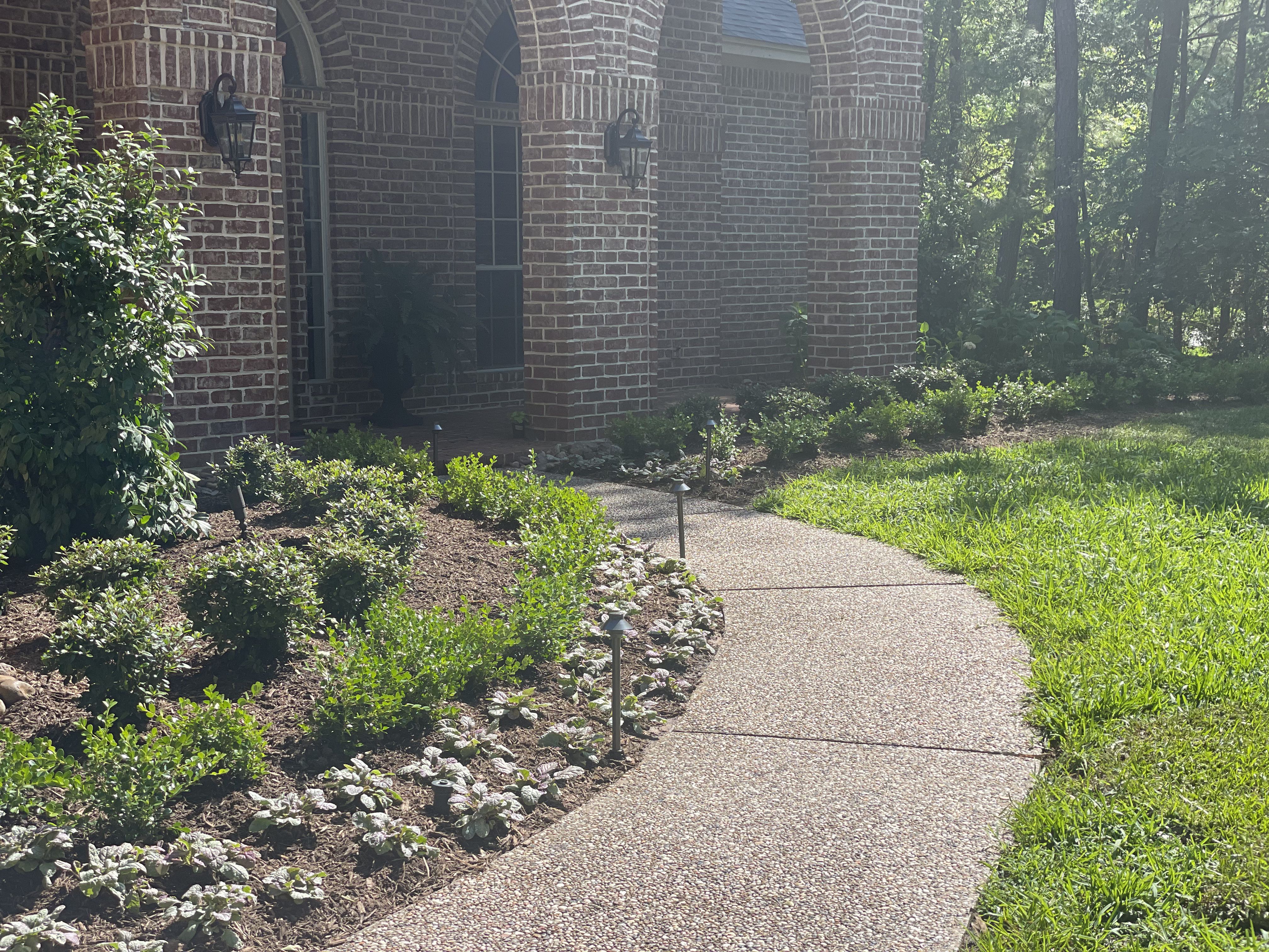 All Photos for Atlas Land Design in Creekside Park, TX