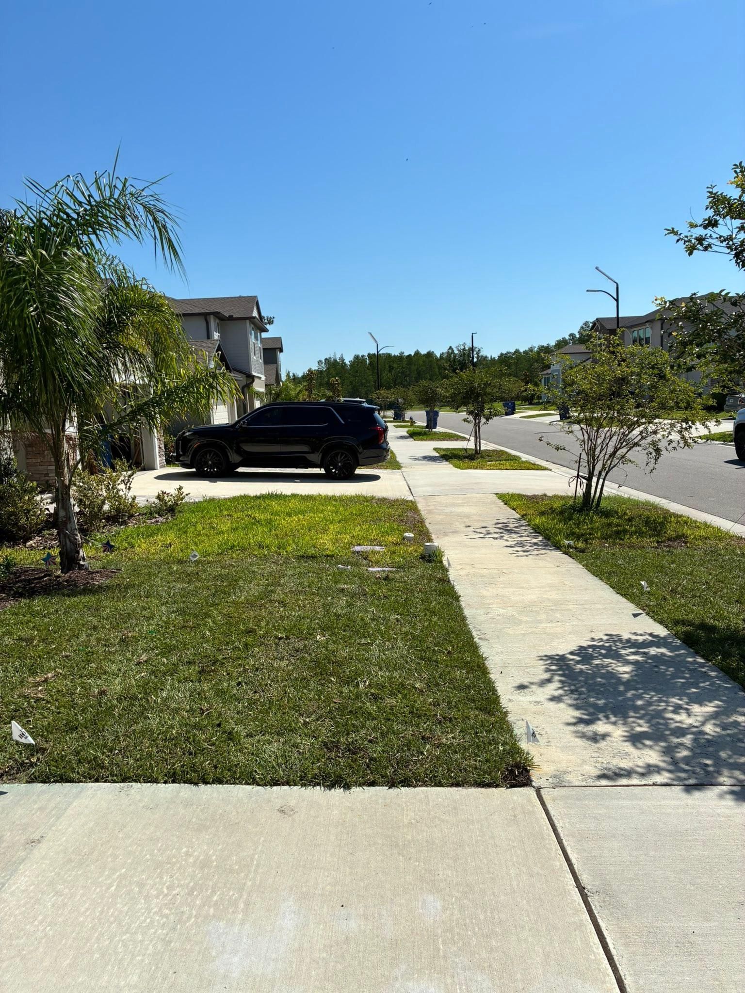  for Gulf Bay Sod in Clearwater, FL