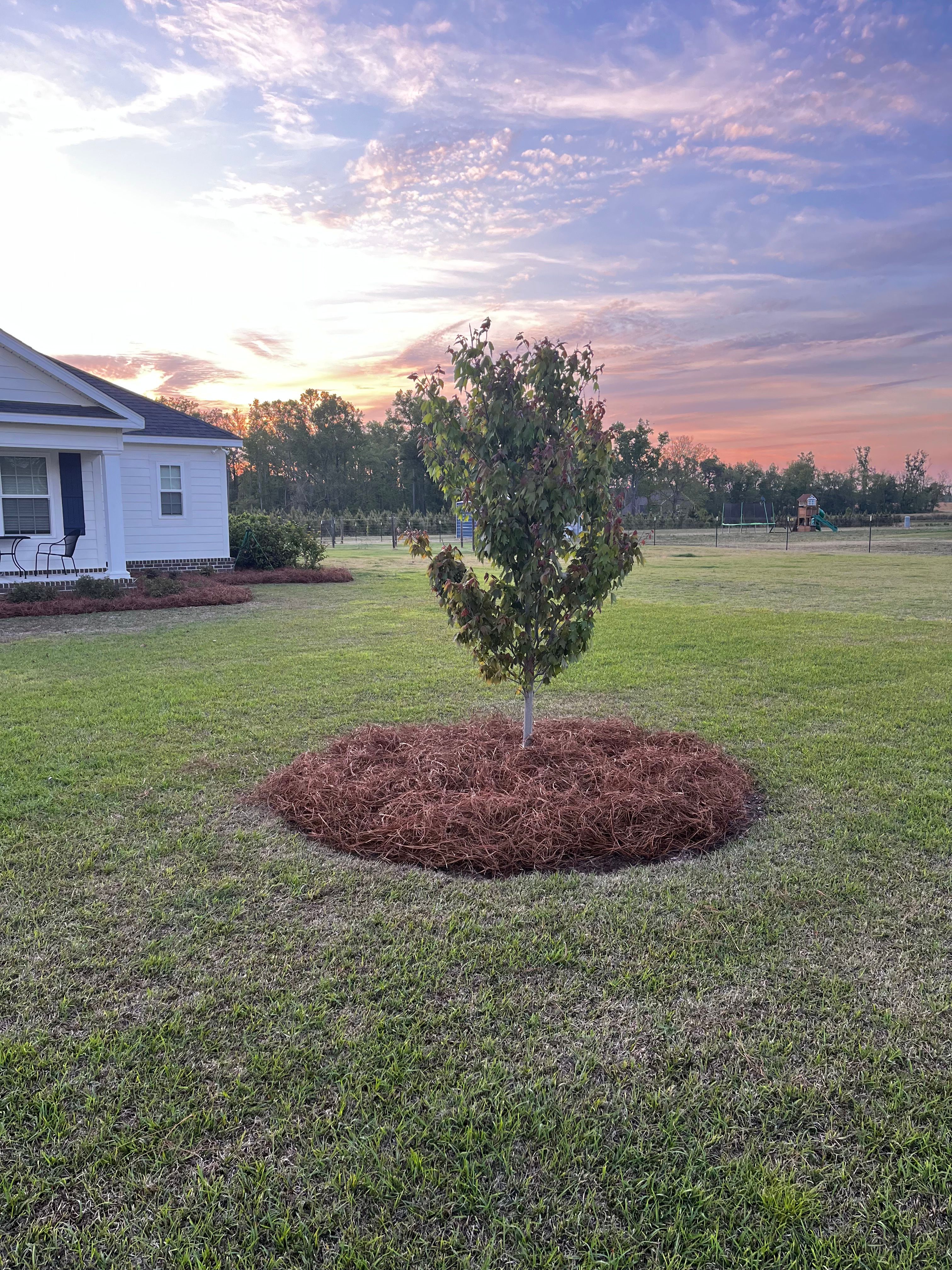  for Scalco’s Land Services in Statesboro, GA