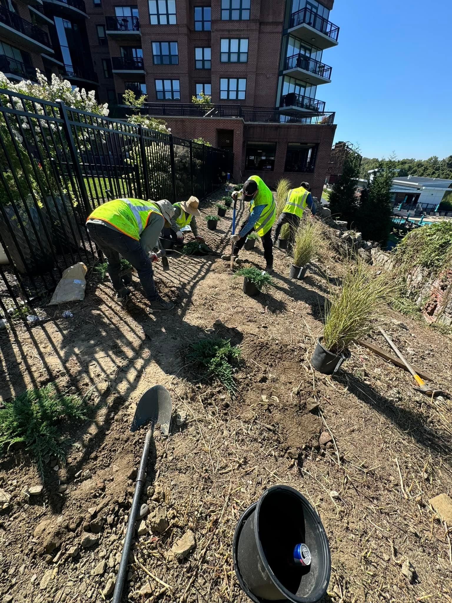  for Branch Out Tree Care LLC in Fredericksburg, VA