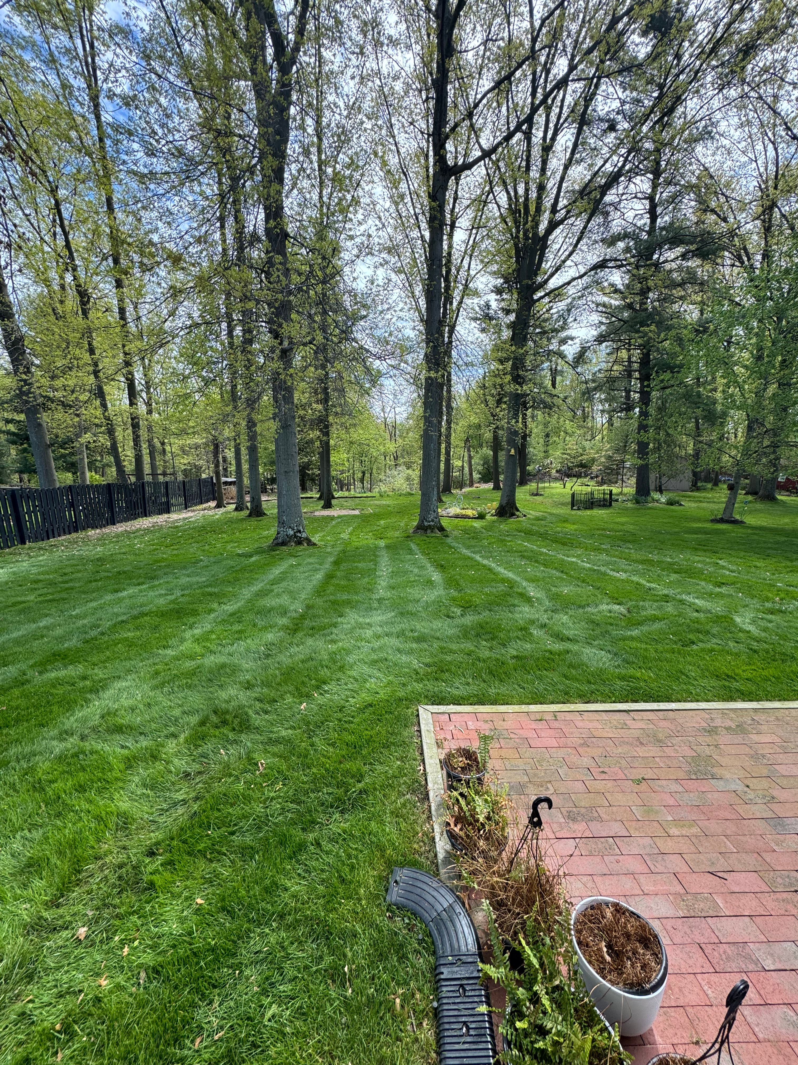  for Yard Theory in Willowick, OH