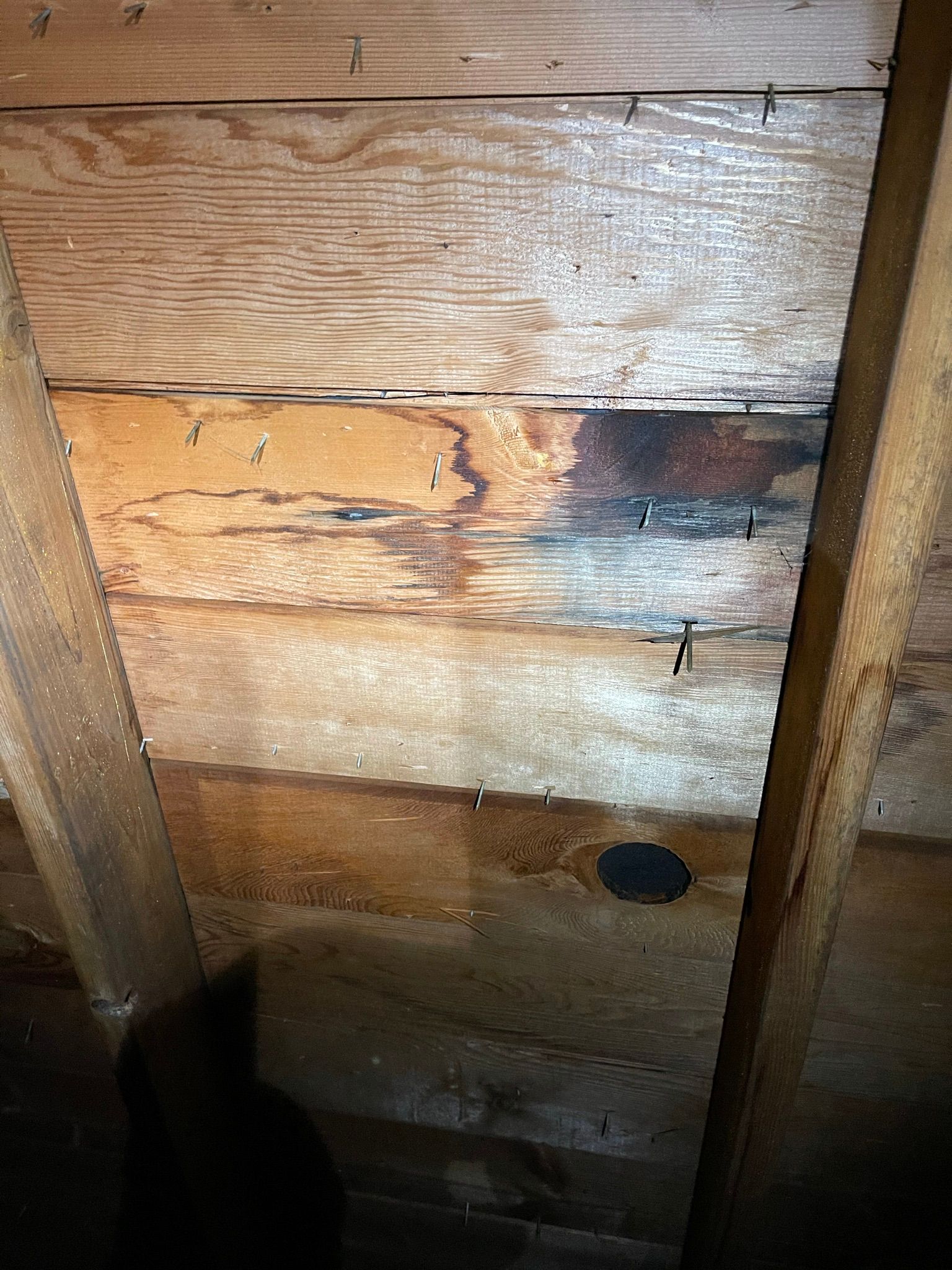  for Tony's Remodeling & Painting in Renton, WA