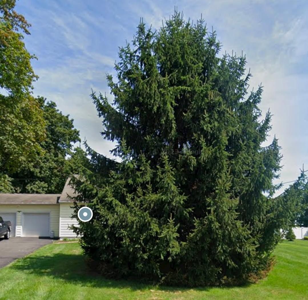  for Unique Outdoor Lighting in Short Hills, NJ