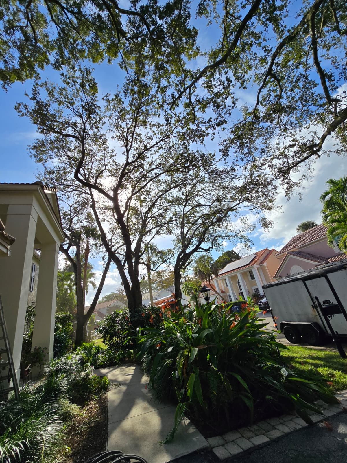  for Bridgewater Arbor Care LLC in Jupiter, FL