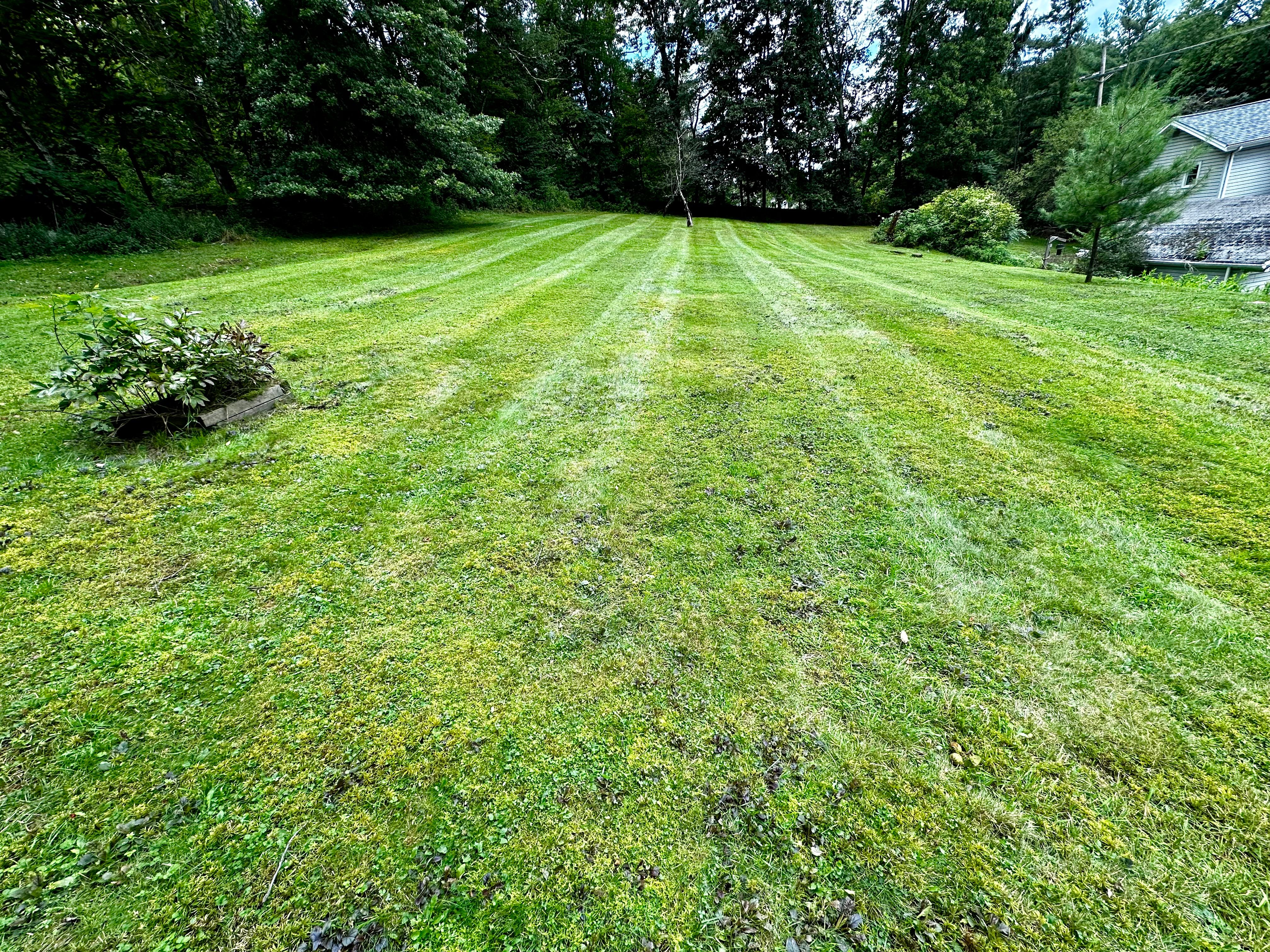  for Lopez Landscaping and Hardscapes in Scranton, PA