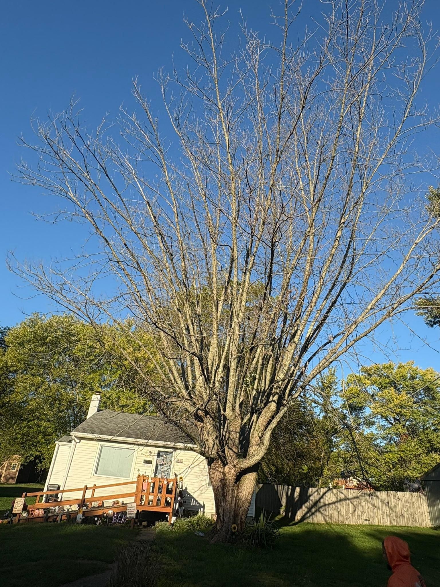  for Dig-It Tree Company in , 