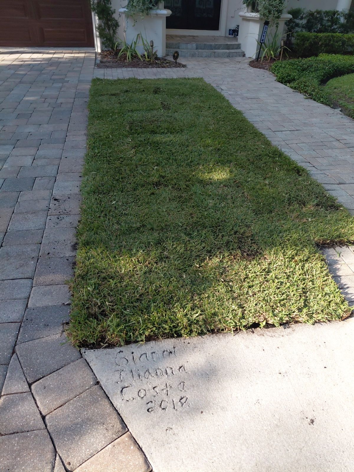  for Gulf Bay Sod in Clearwater, FL