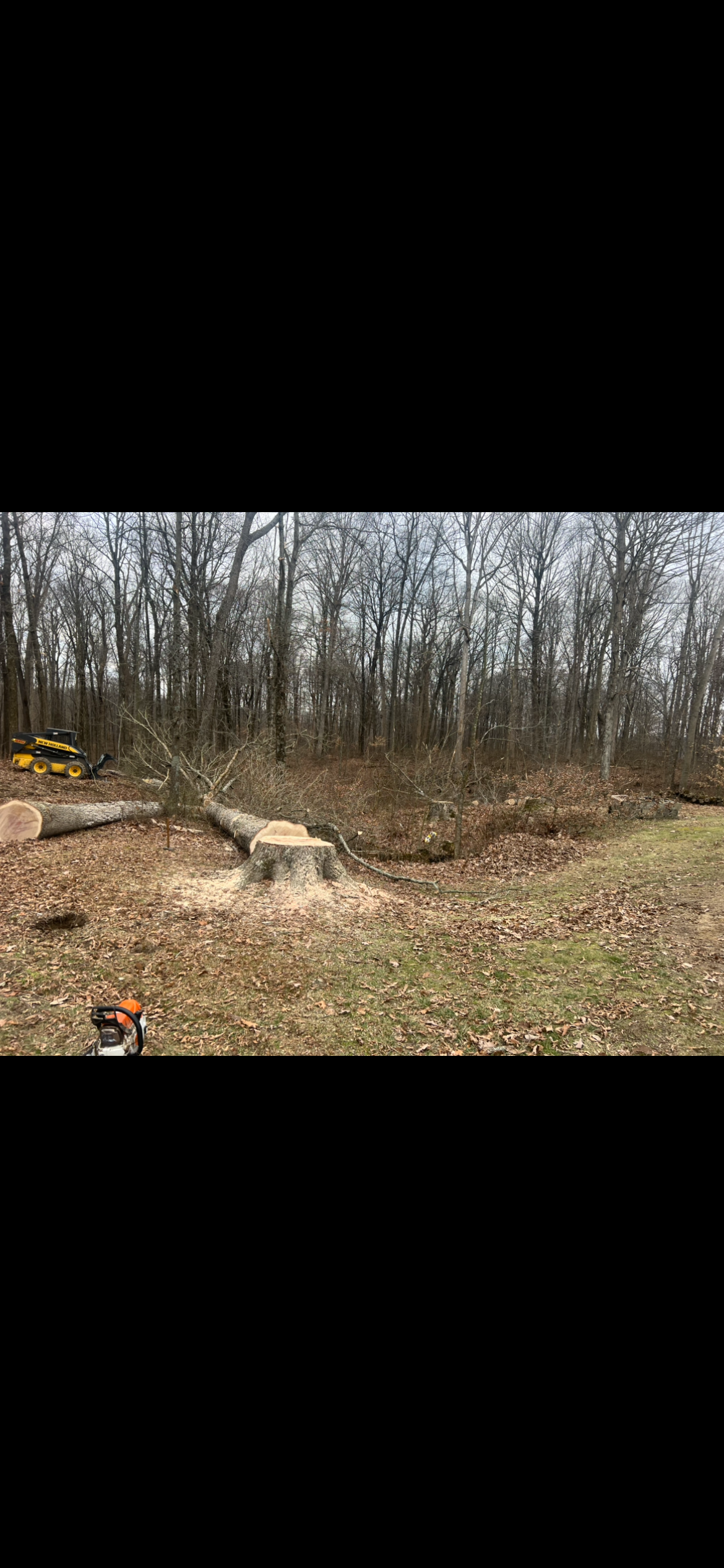 All Photos for Kadin’s Tree Service in North Vernon, IN