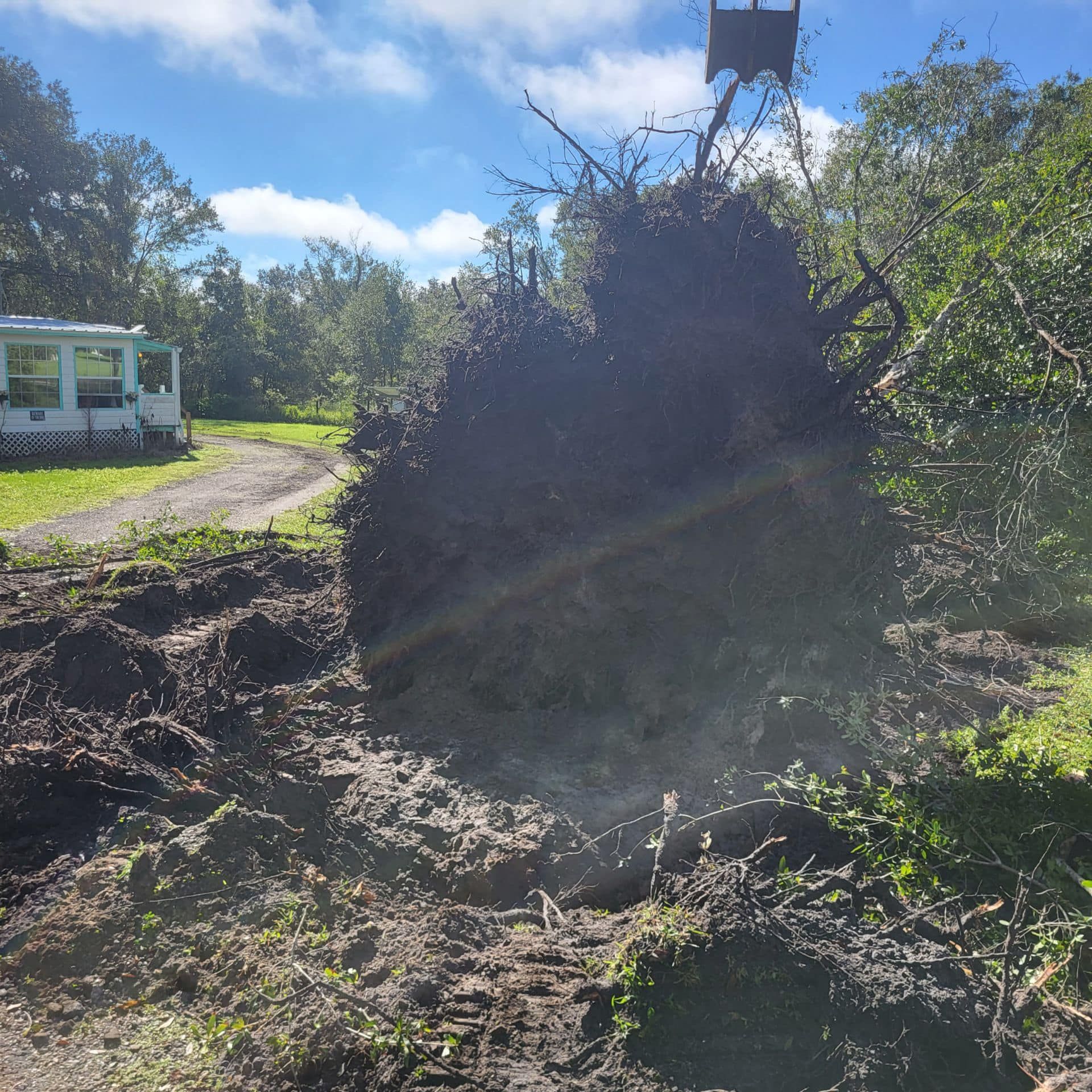  for Nick of Time Tree Service in North Port, FL