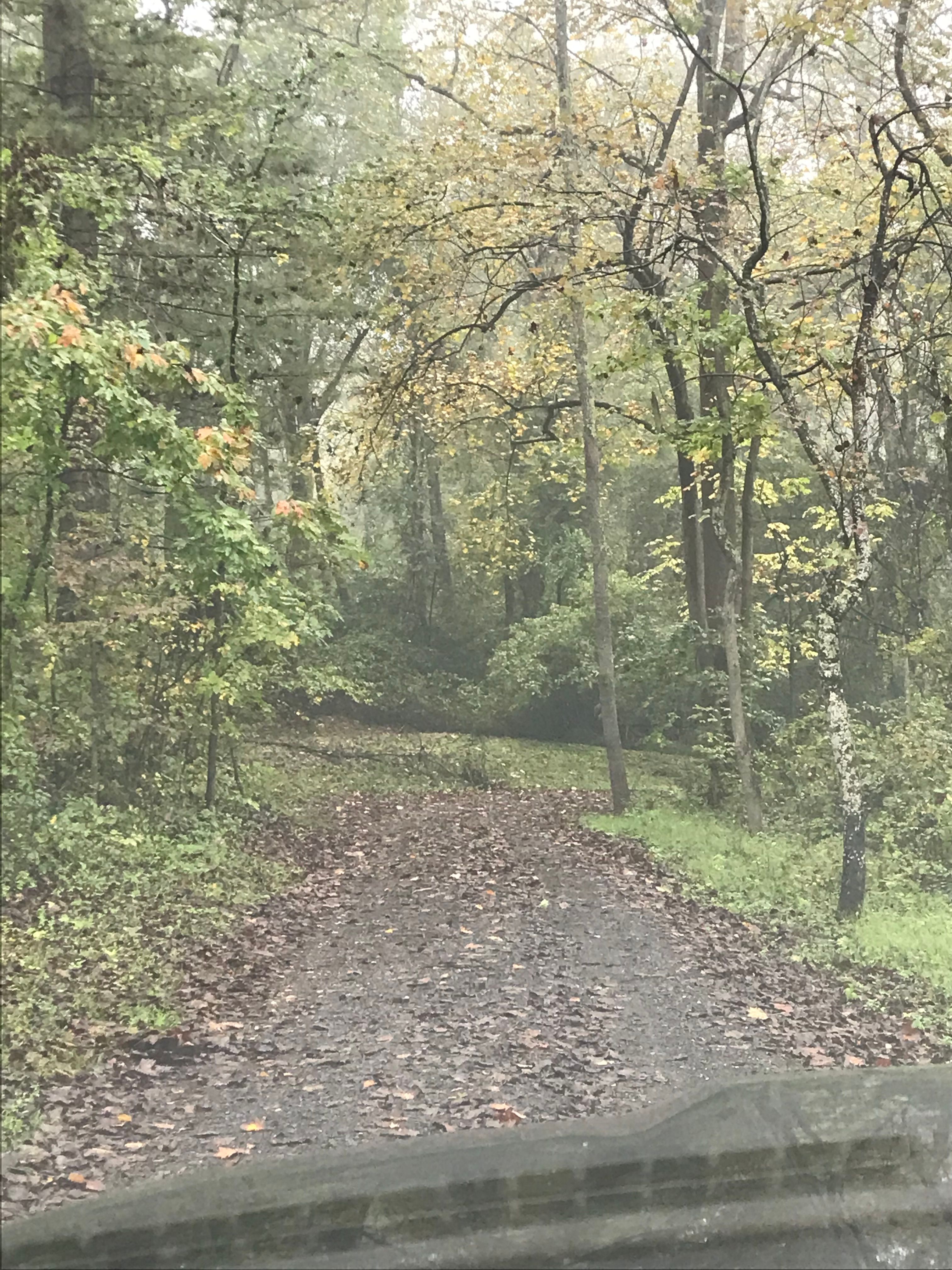  for 9999 Building and Renovation LLC in Warrenton, VA