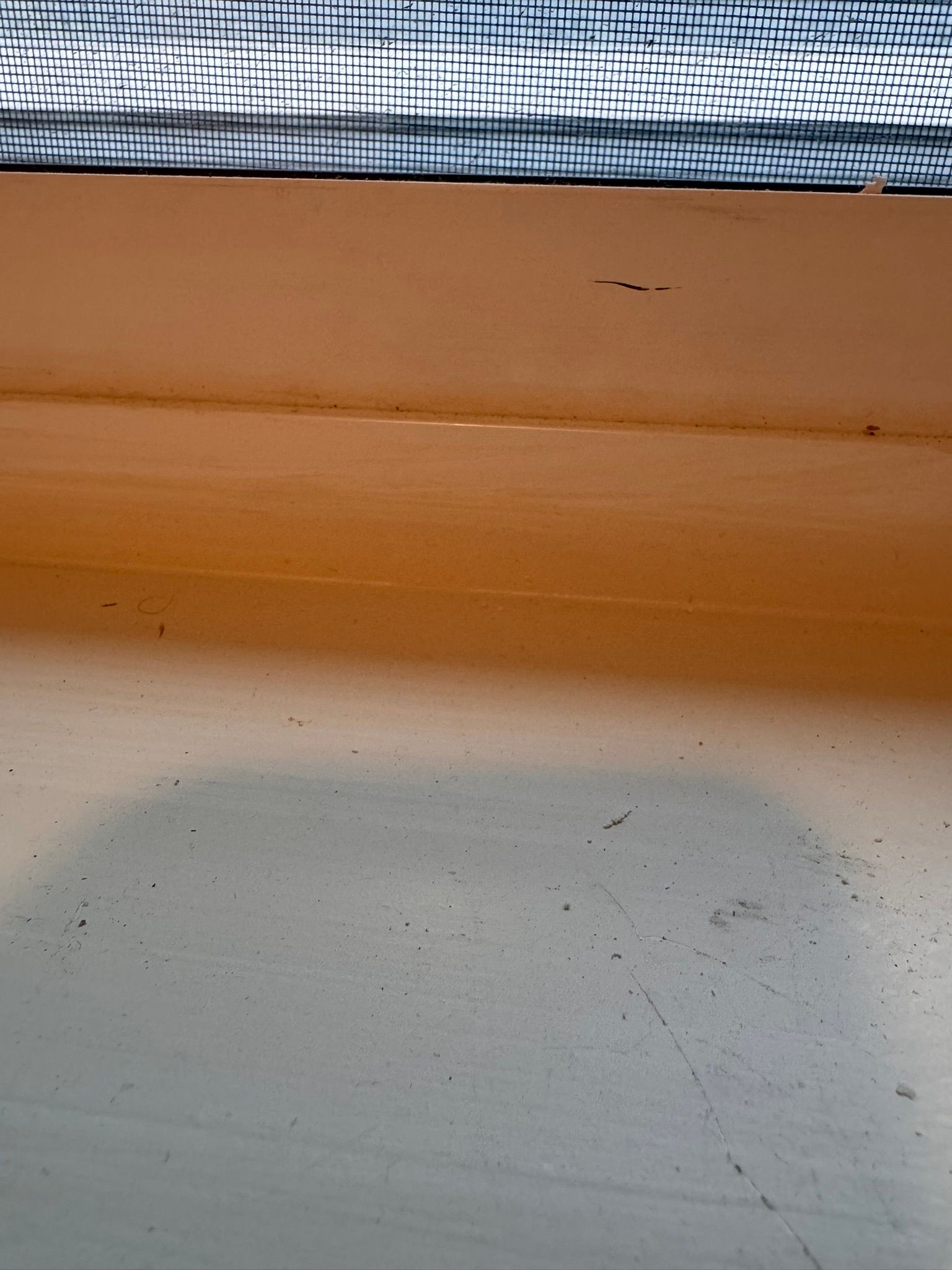  for Tony's Remodeling & Painting in Renton, WA