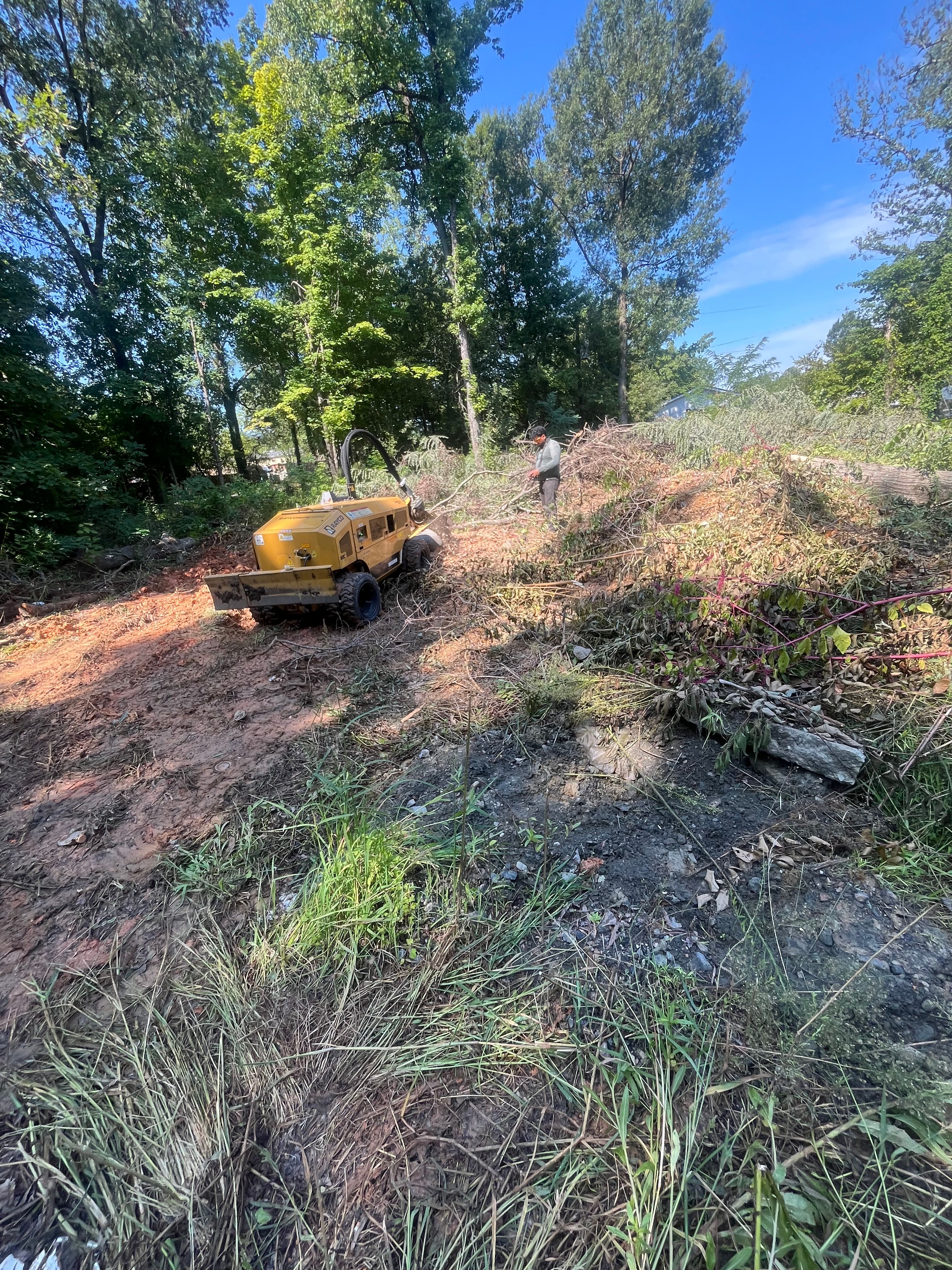 for Ricky's Tree Service & Property Care in Orange, VA