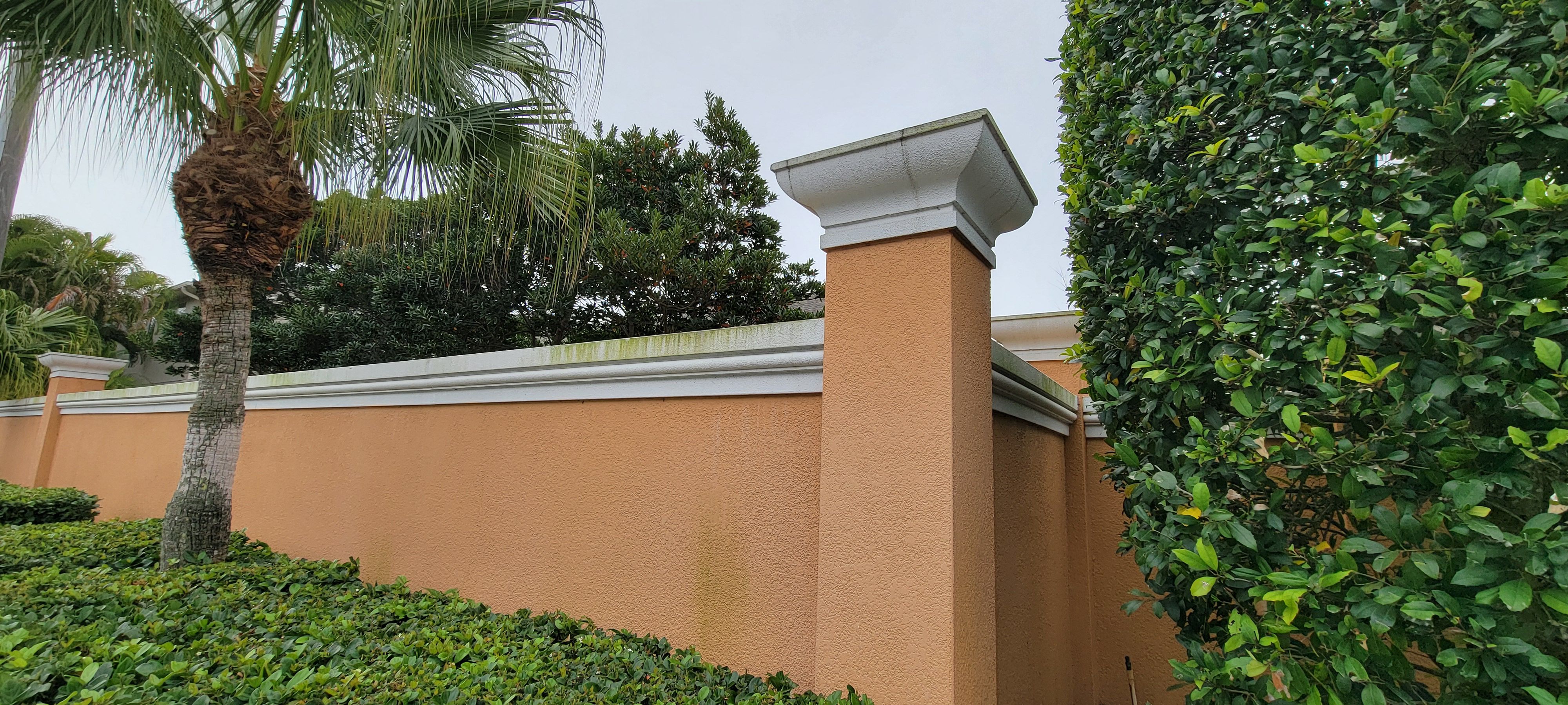  for Blue Stream Roof Cleaning & Pressure Washing in Tampa, FL