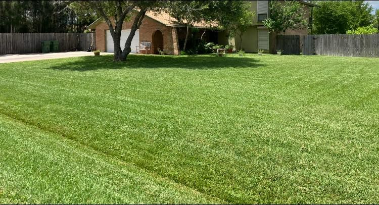  for John’s Lawns in South Padre Island, TX