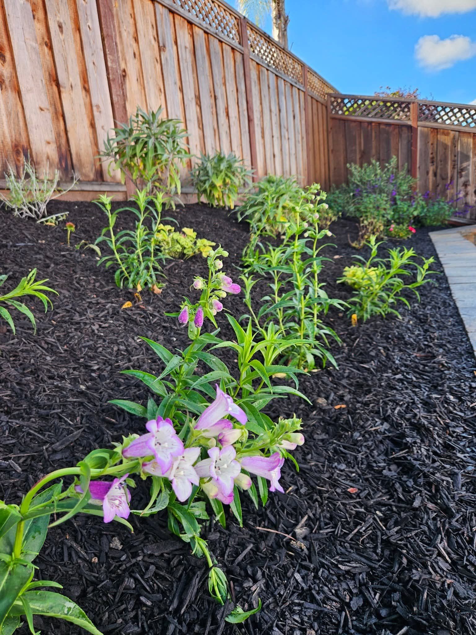 Themed Horticultural Designs for Martin Stanko Landscape Construction in Livermore, CA