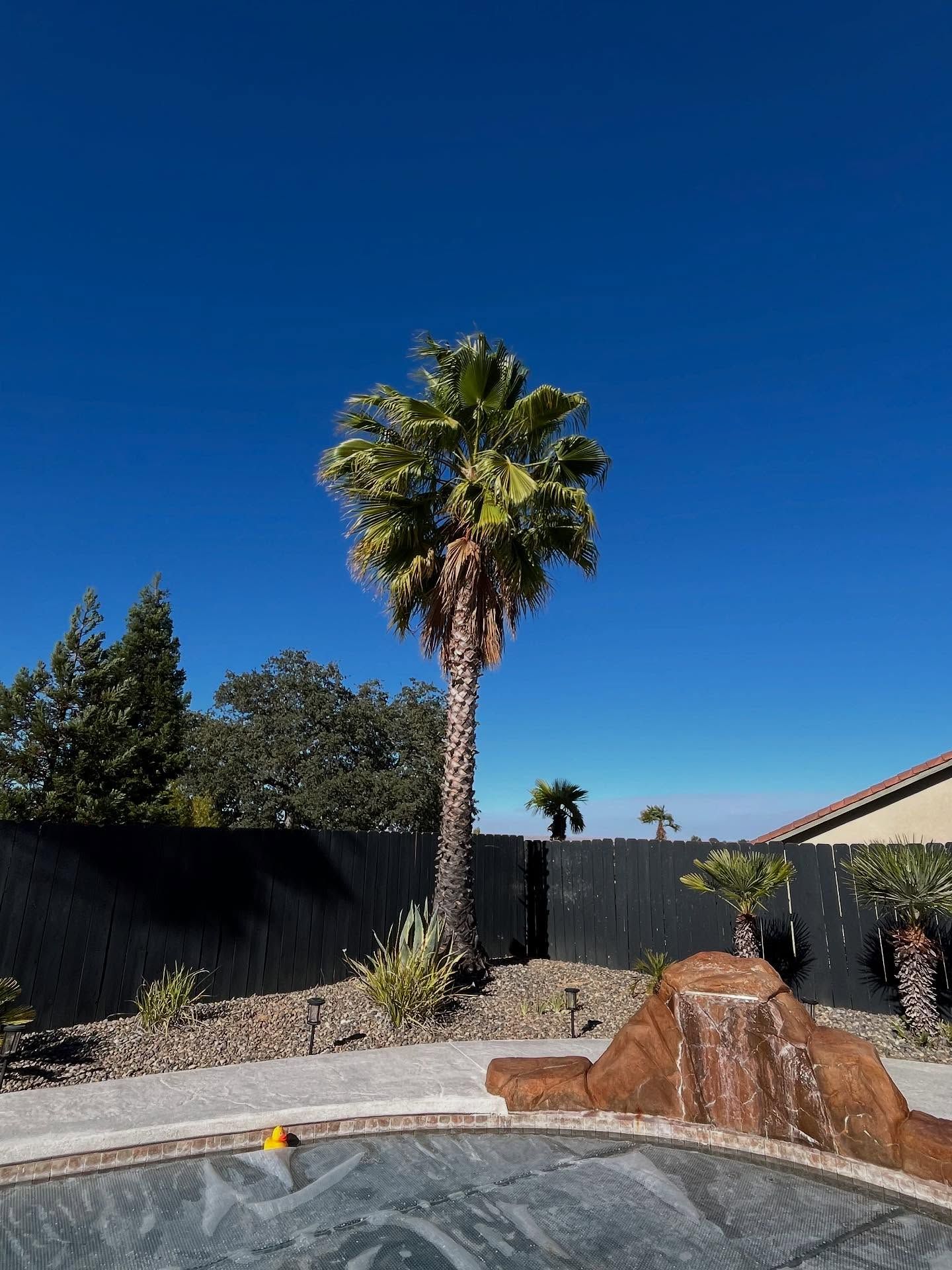  for A1 Junk & Tree Solutions, LLC in Paso Robles, CA