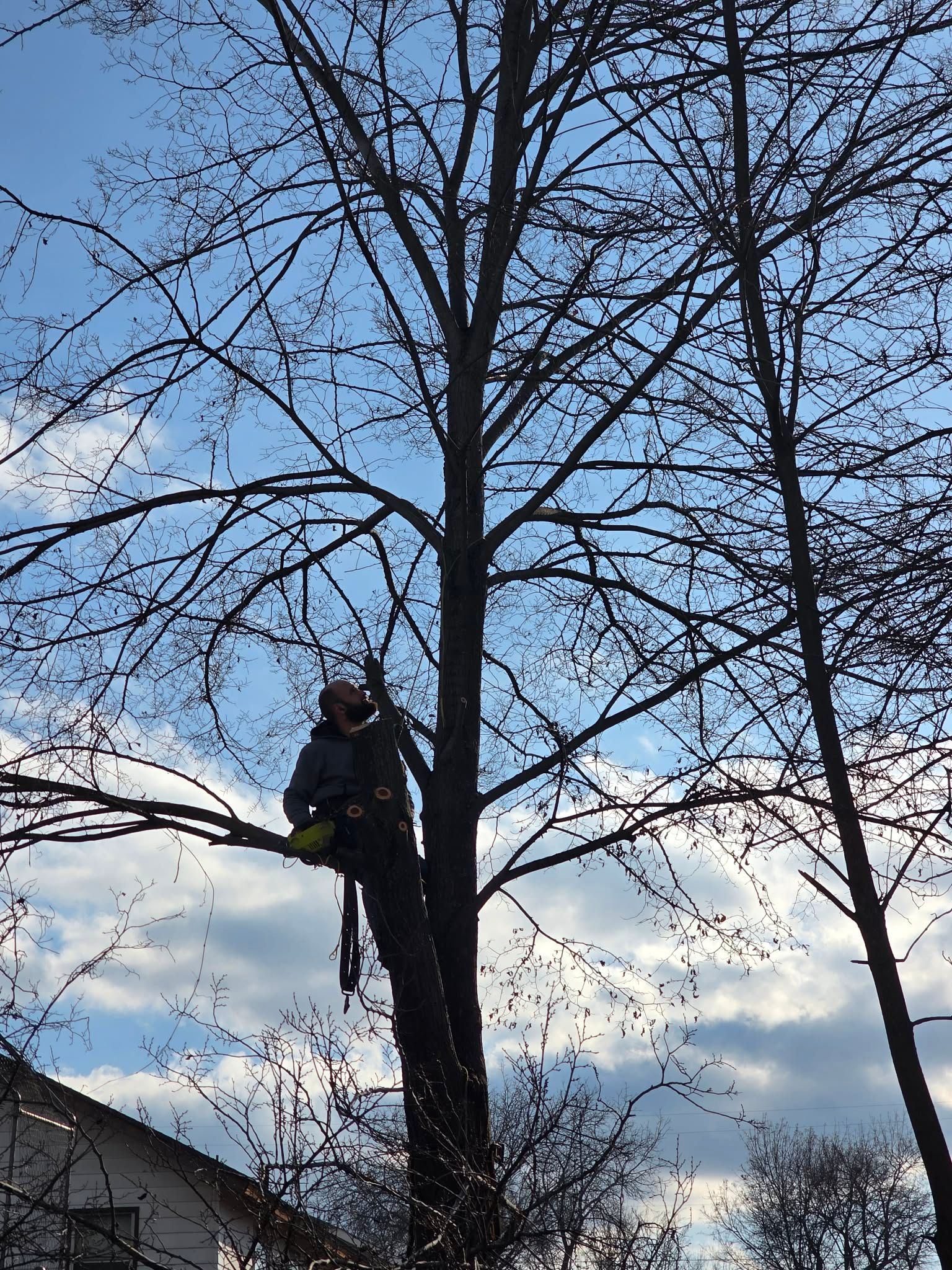  for Dustin Shaw LLC in Lewiston, ID