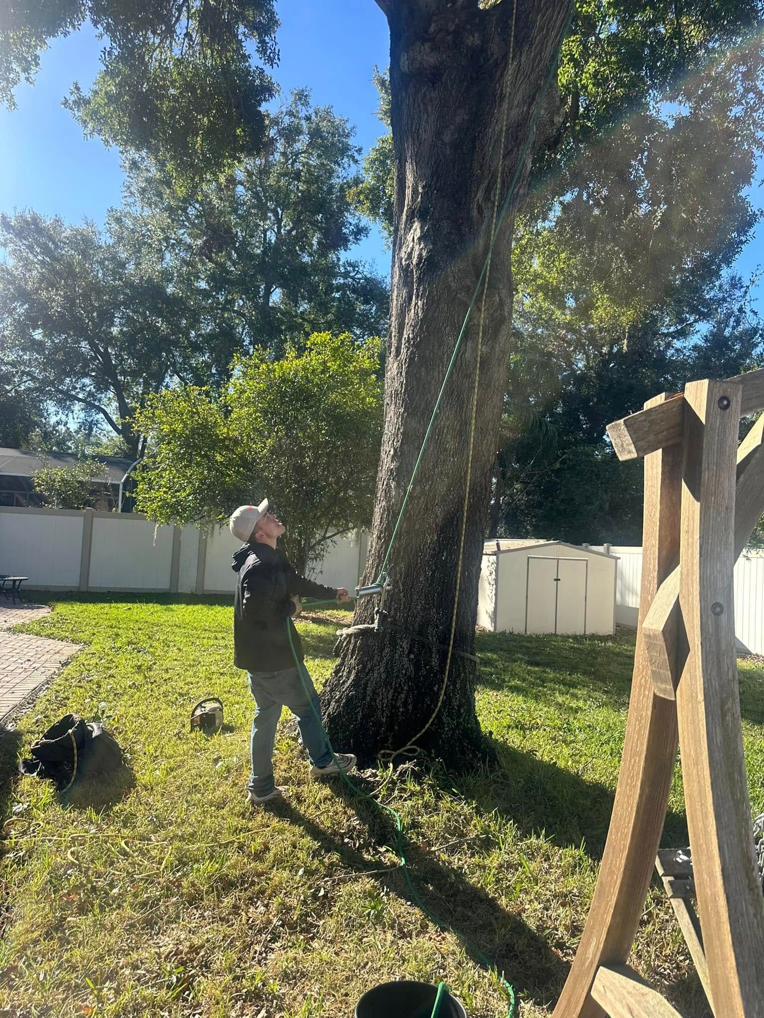  for Narrow Path Tree Service in Deland, FL