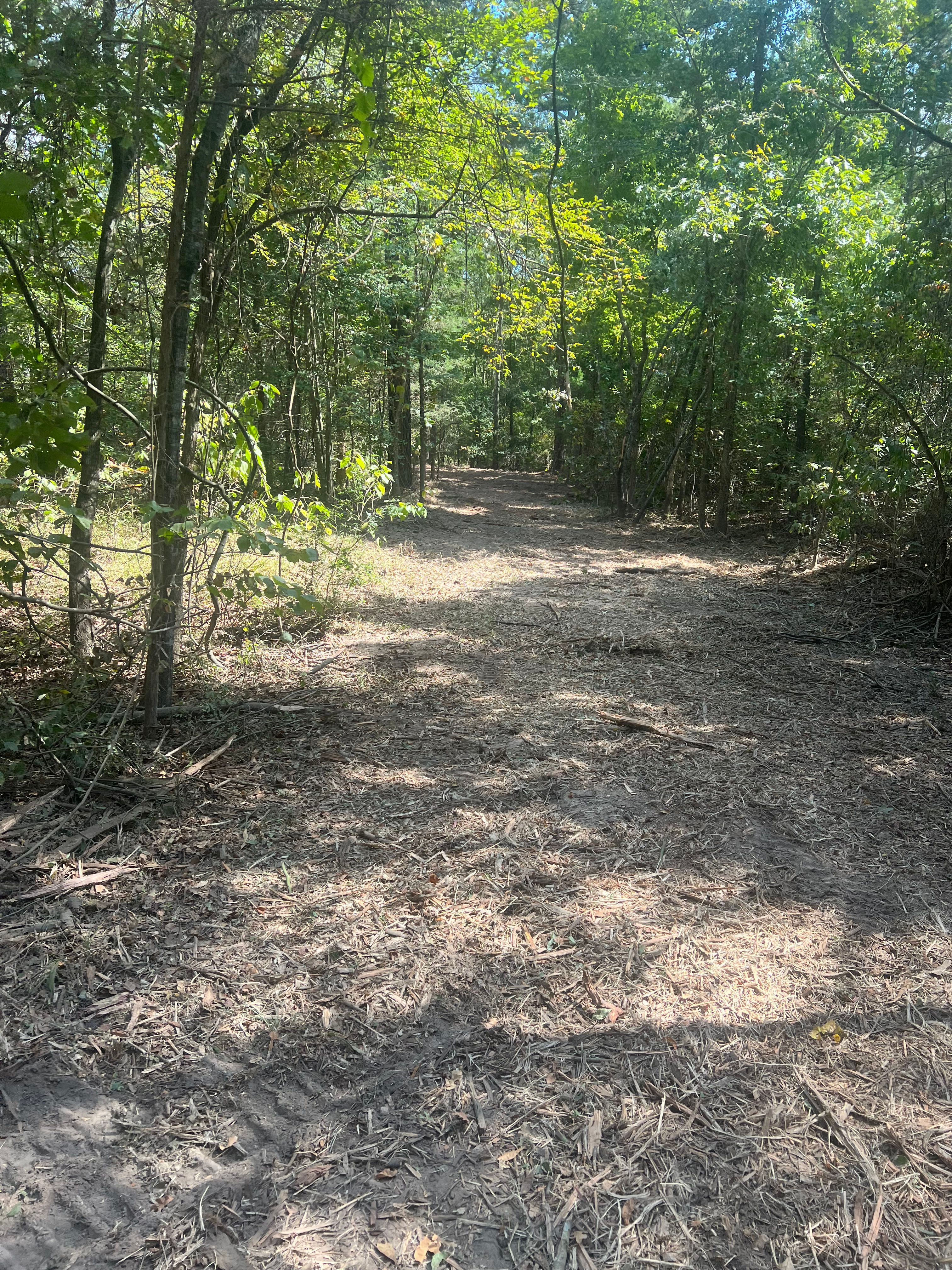  for 903 Mulching in East Mountain, TX