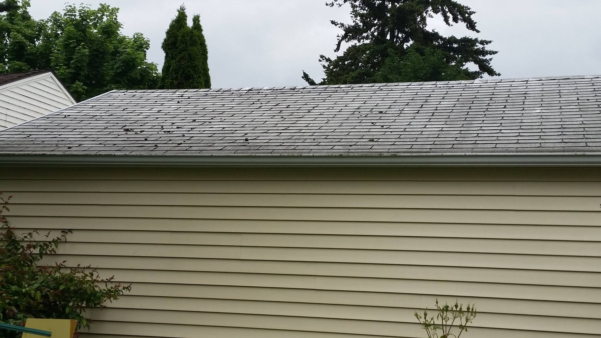  for Icanhandyman in Lakeville, MN