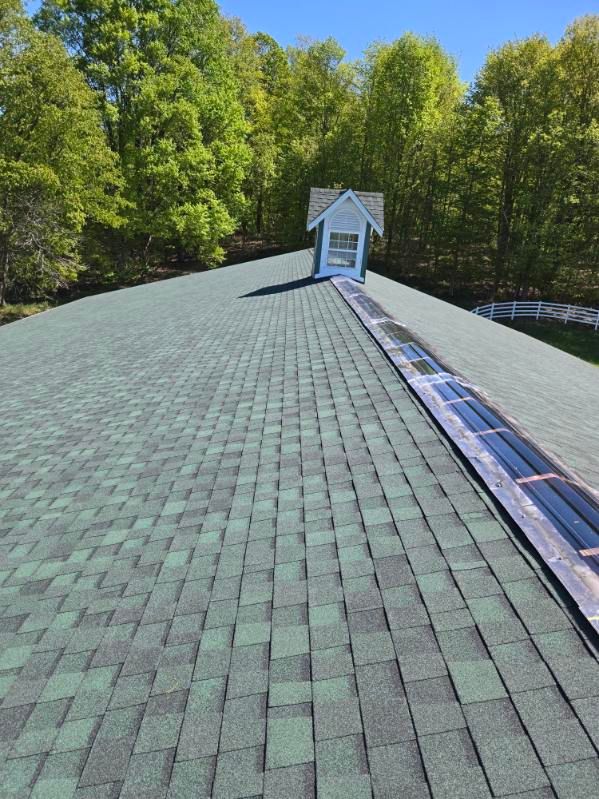  for Buck's Exteriors in Manistee, MI