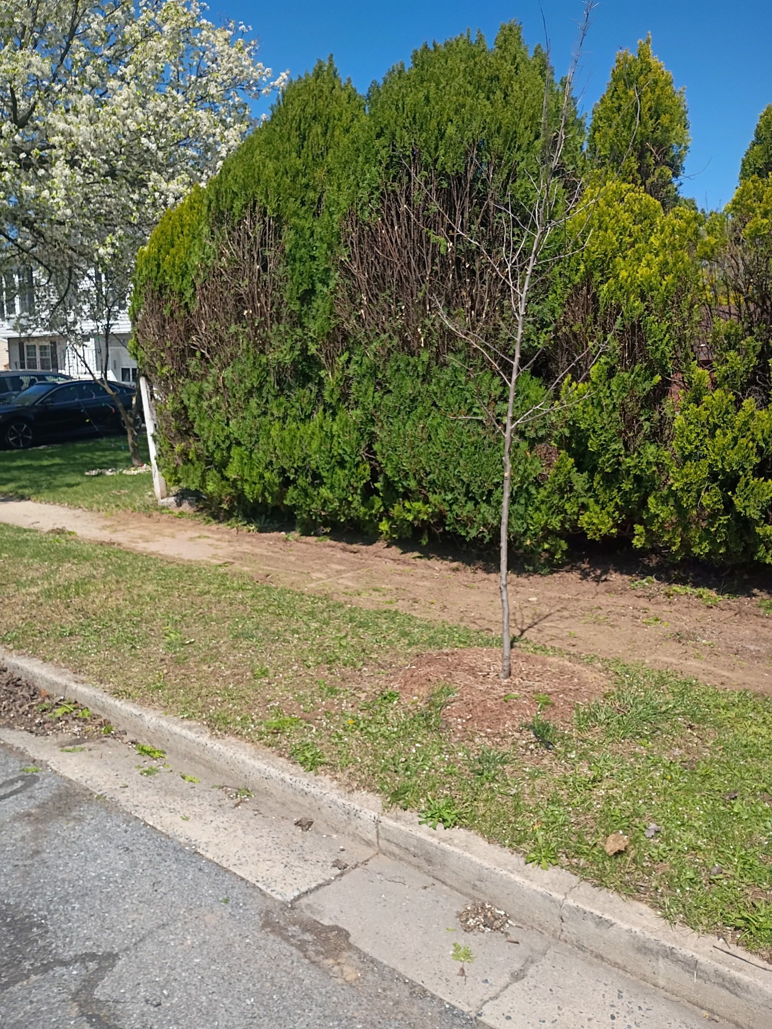  for Glen Co Solutions Inc. in Frederick, MD