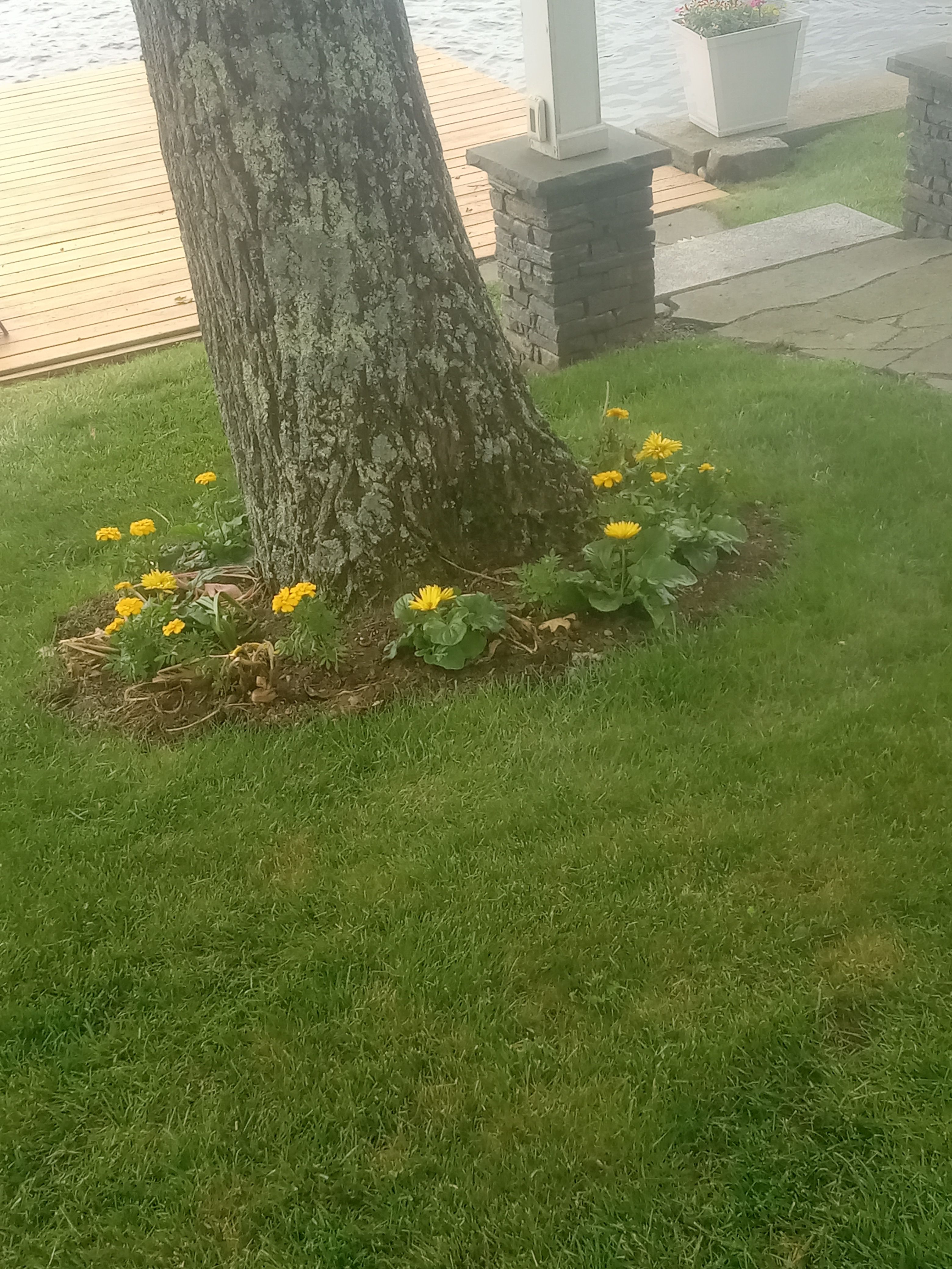  for K Brown's Property Maintenance in Pittsfield, MA
