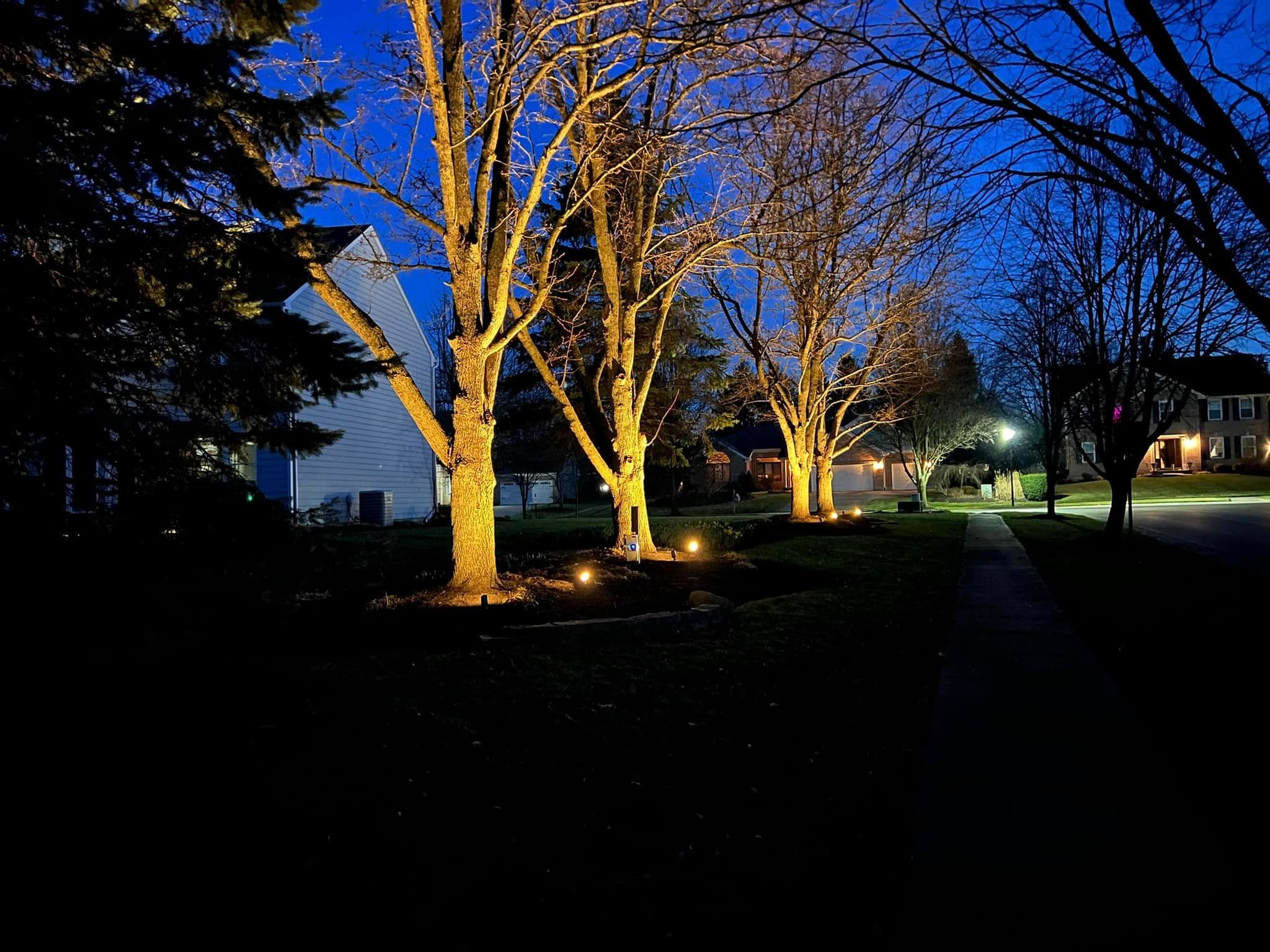  for Vivid Electric in Centerville, OH