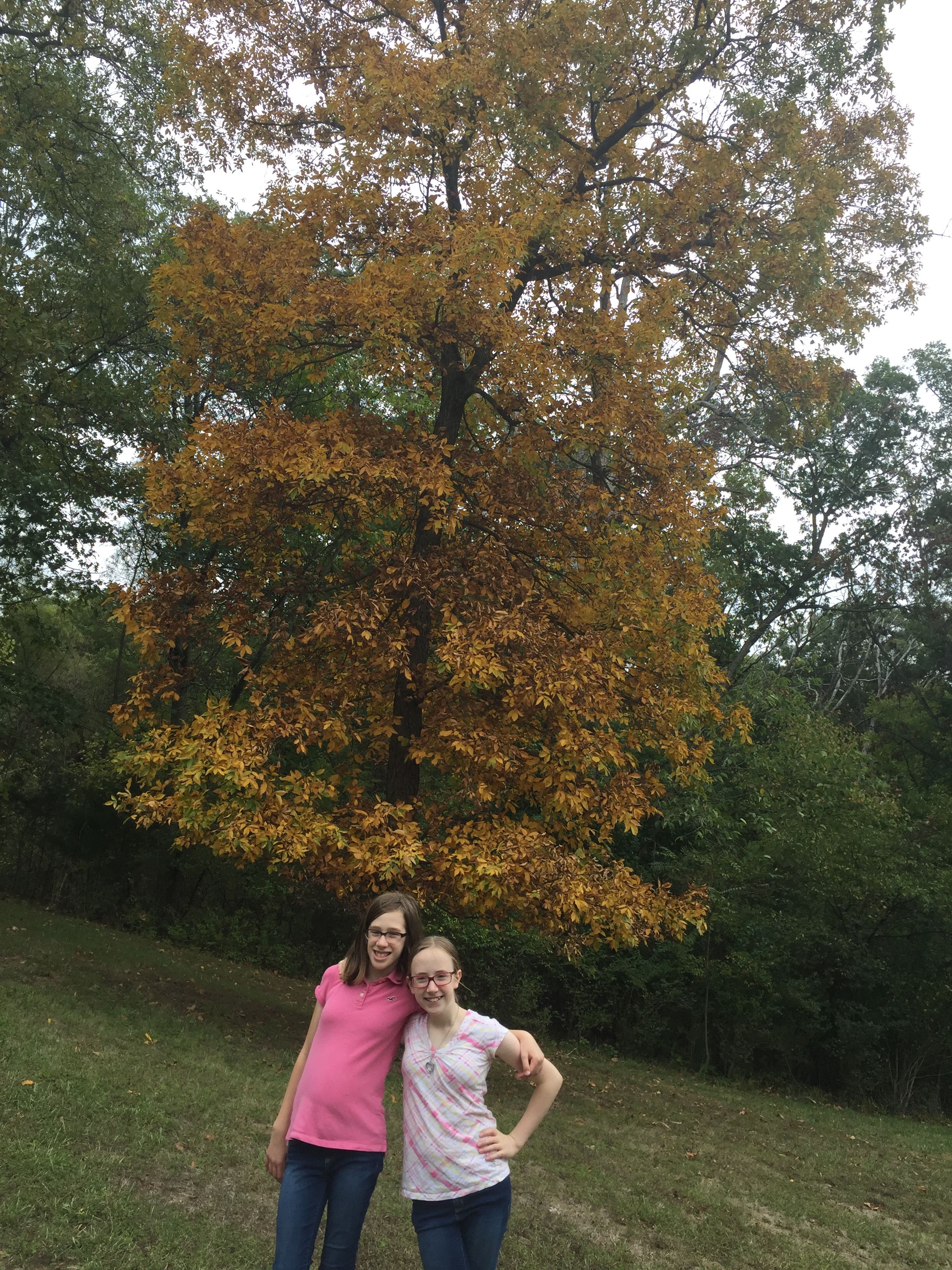  for See2it Clean in St Louis, MO