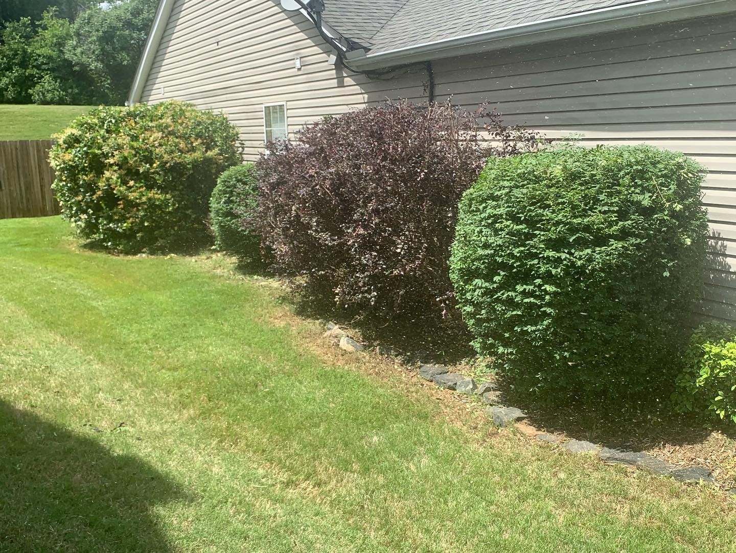 Landscaping for JIF Concrete Services in Greenville, SC