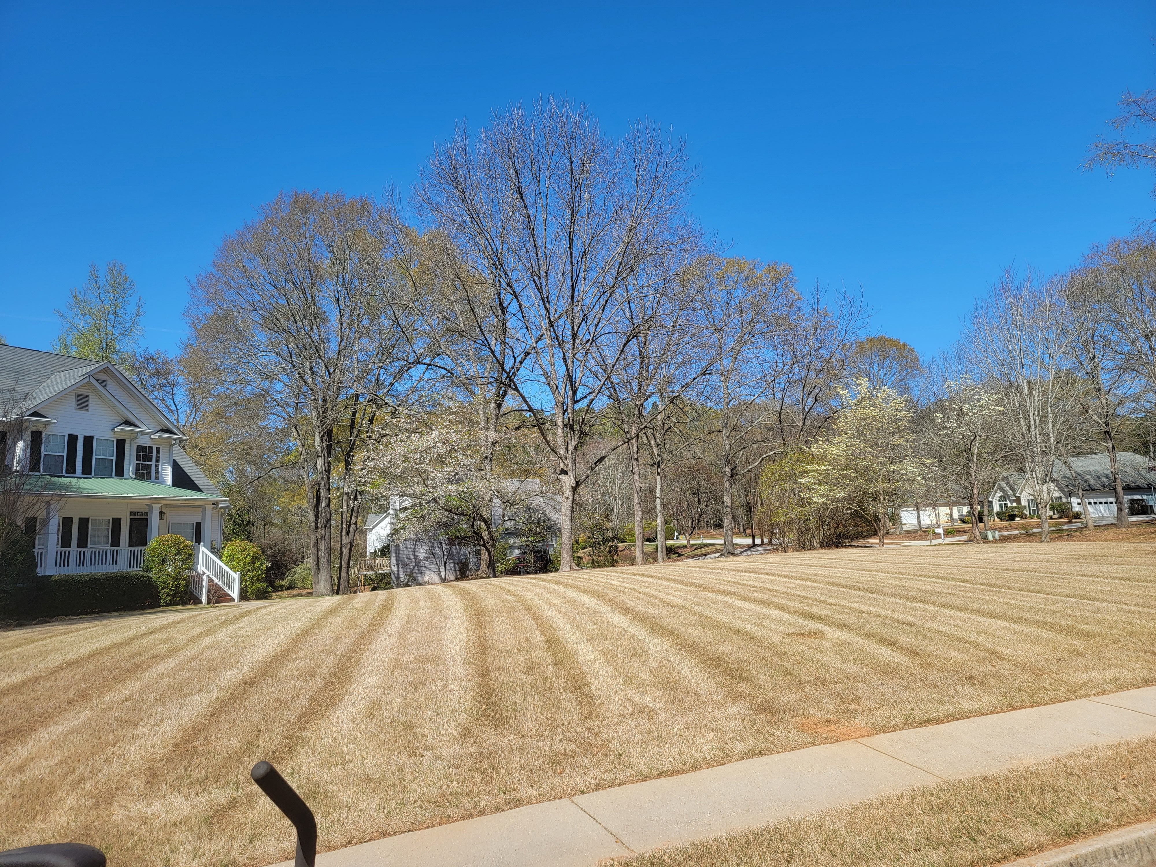  for Fantastic Lawn Care in Fayetteville, GA