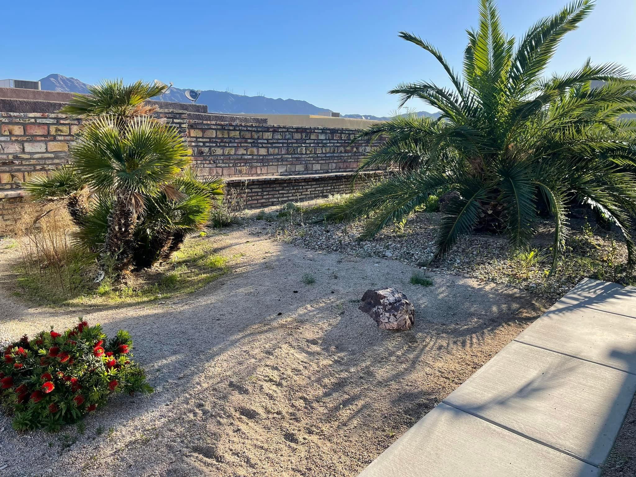  for Oliver L. Palm & Tree services in Yuma County, AZ