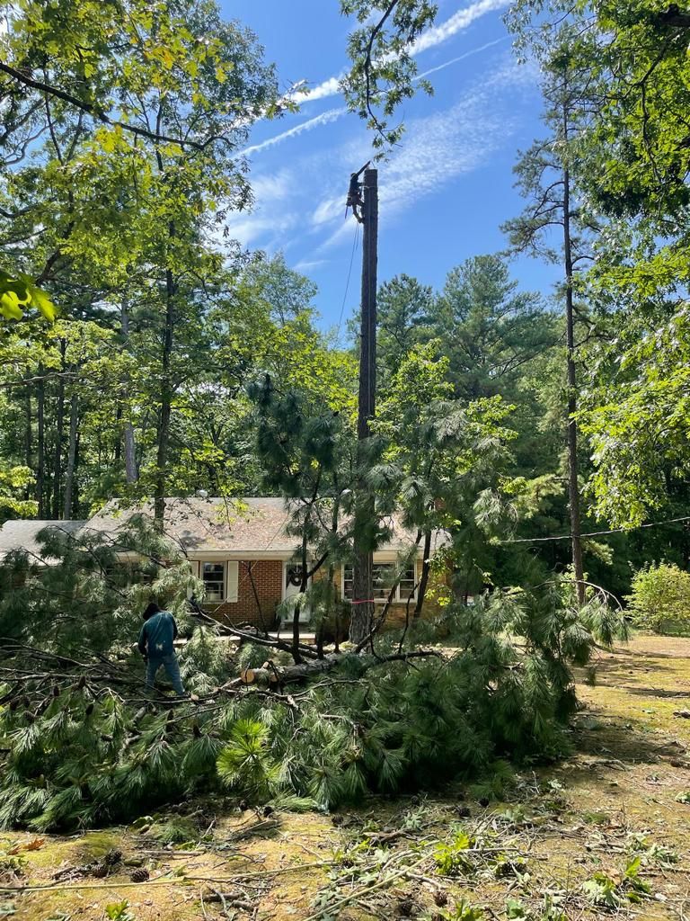 Tree Removal for Rosales Landscaping LLC in Lake Gaston, North Carolina