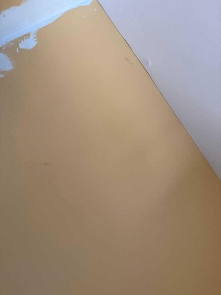  for A1 Phillips Painting in Cumming, GA