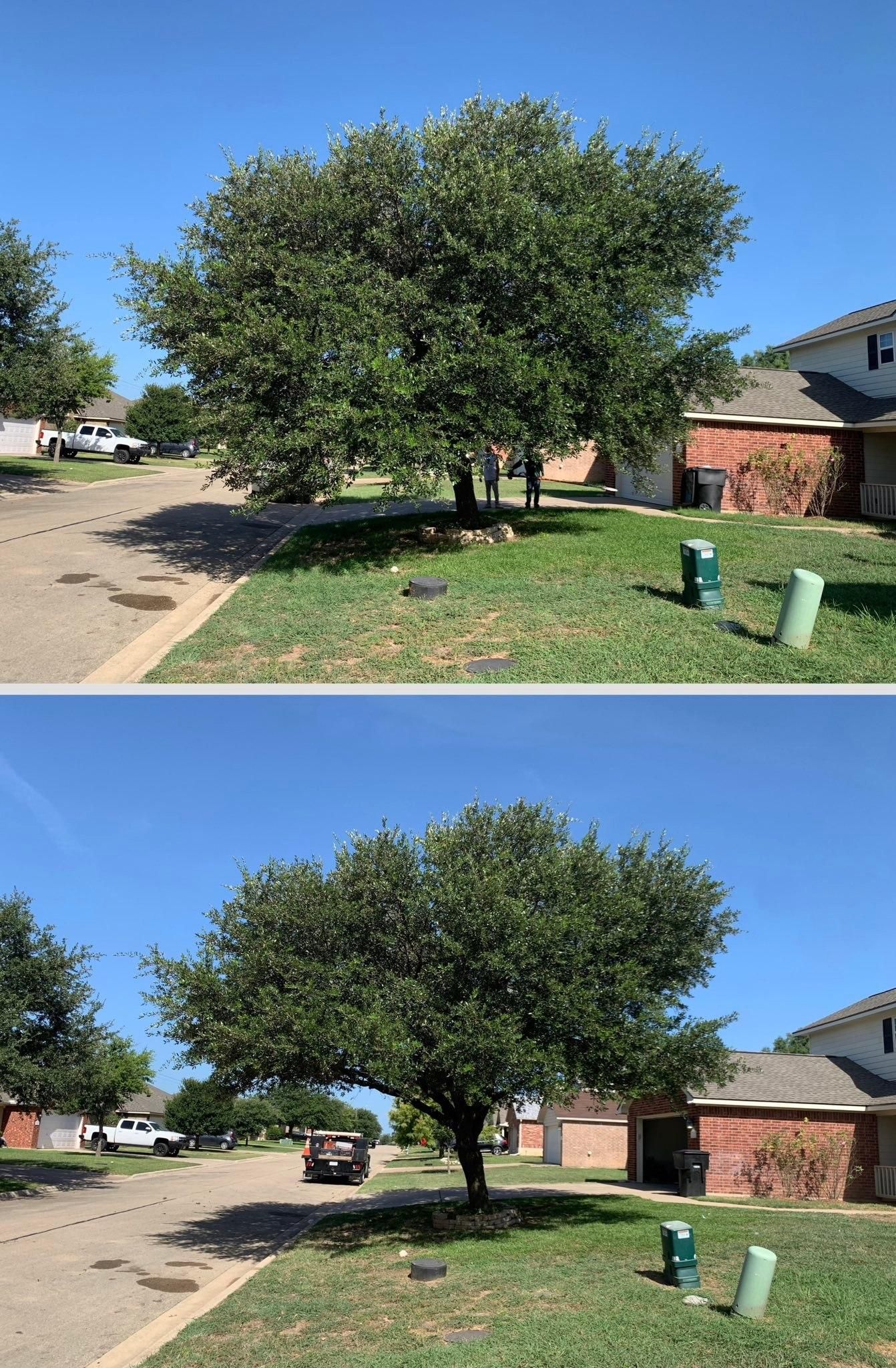  for Scalpel Lawn Service in Temple, TX