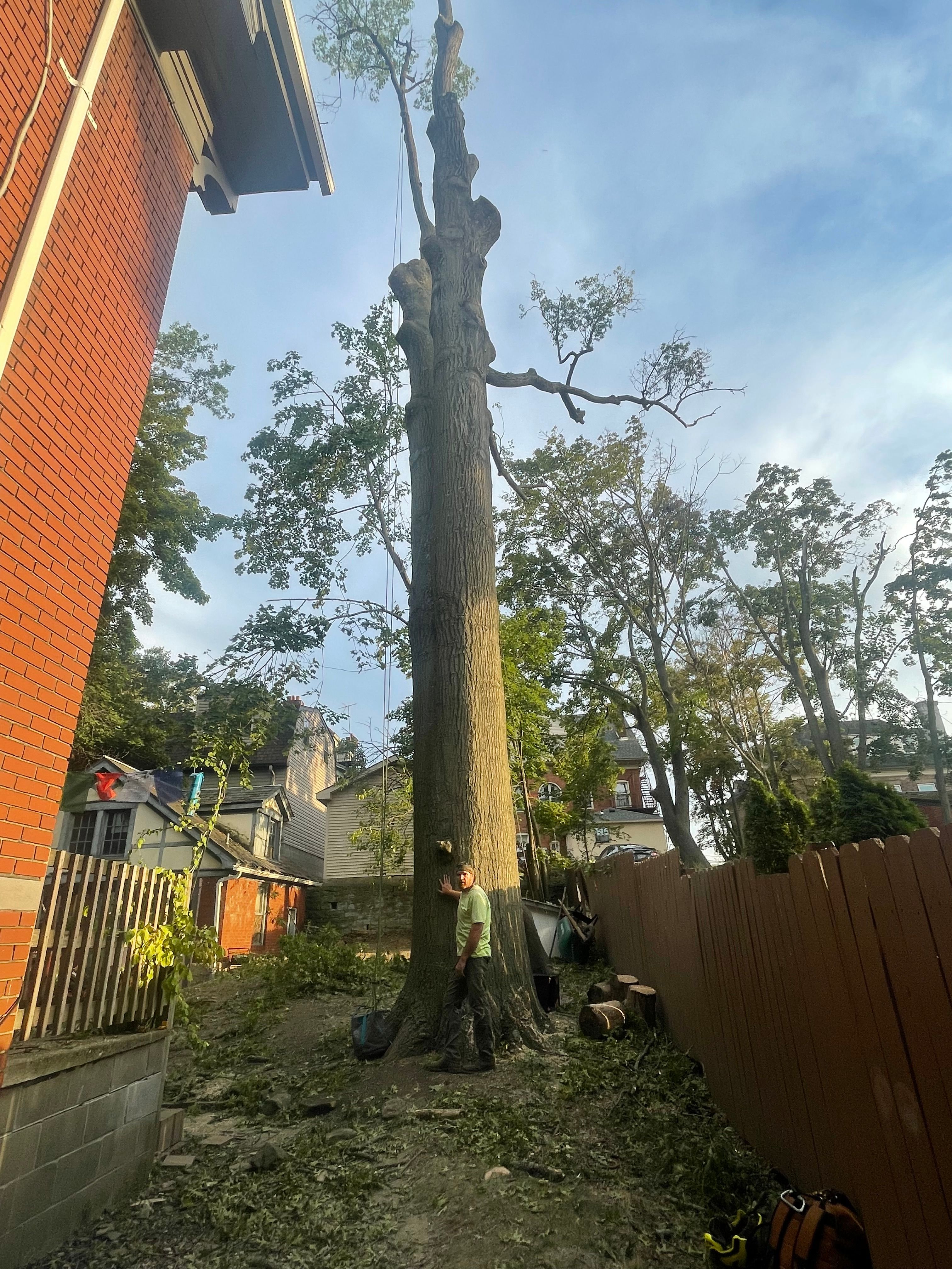  for TLC Professional Tree Service in Bedford, TX